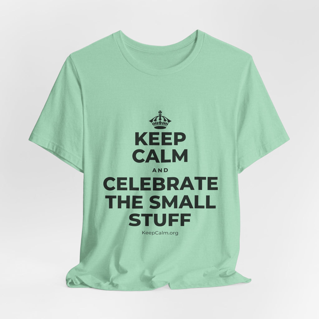 KEEP CALM AND CELEBRATE THE SMALL STUFF T-Shirt (Baby Blue–Silver)