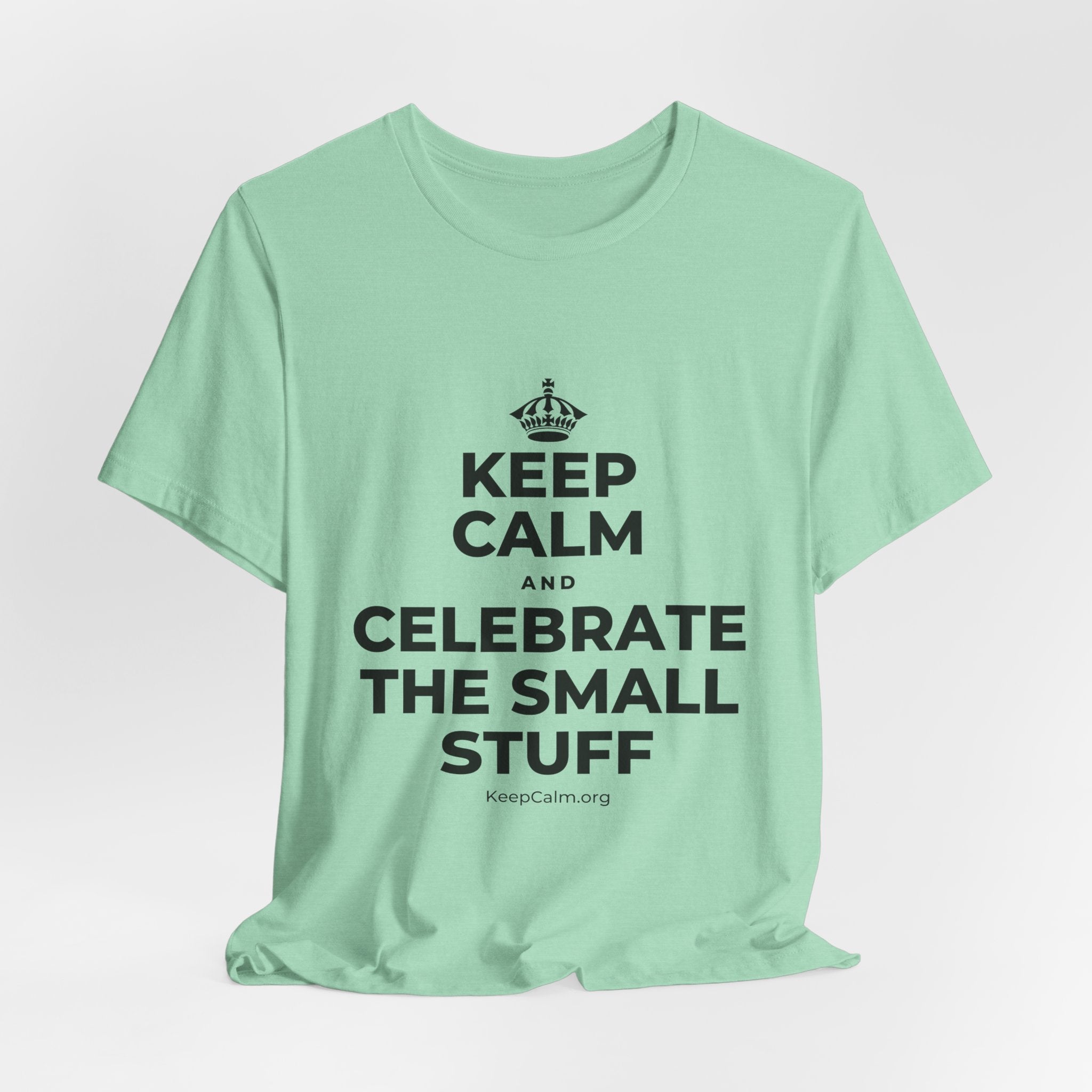 KEEP CALM AND CELEBRATE THE SMALL STUFF T-Shirt (Baby Blue–Silver)