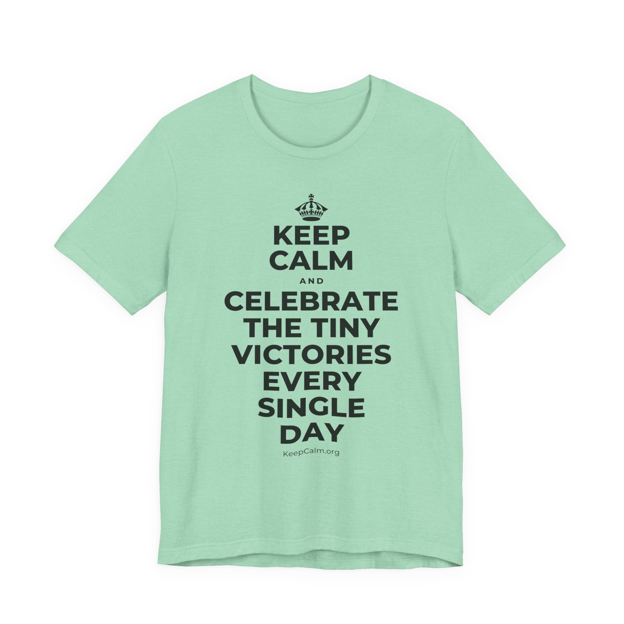 KEEP CALM AND CELEBRATE THE TINY VICTORIES EVERY SINGLE DAY T-Shirt (Baby Blue–Silver)