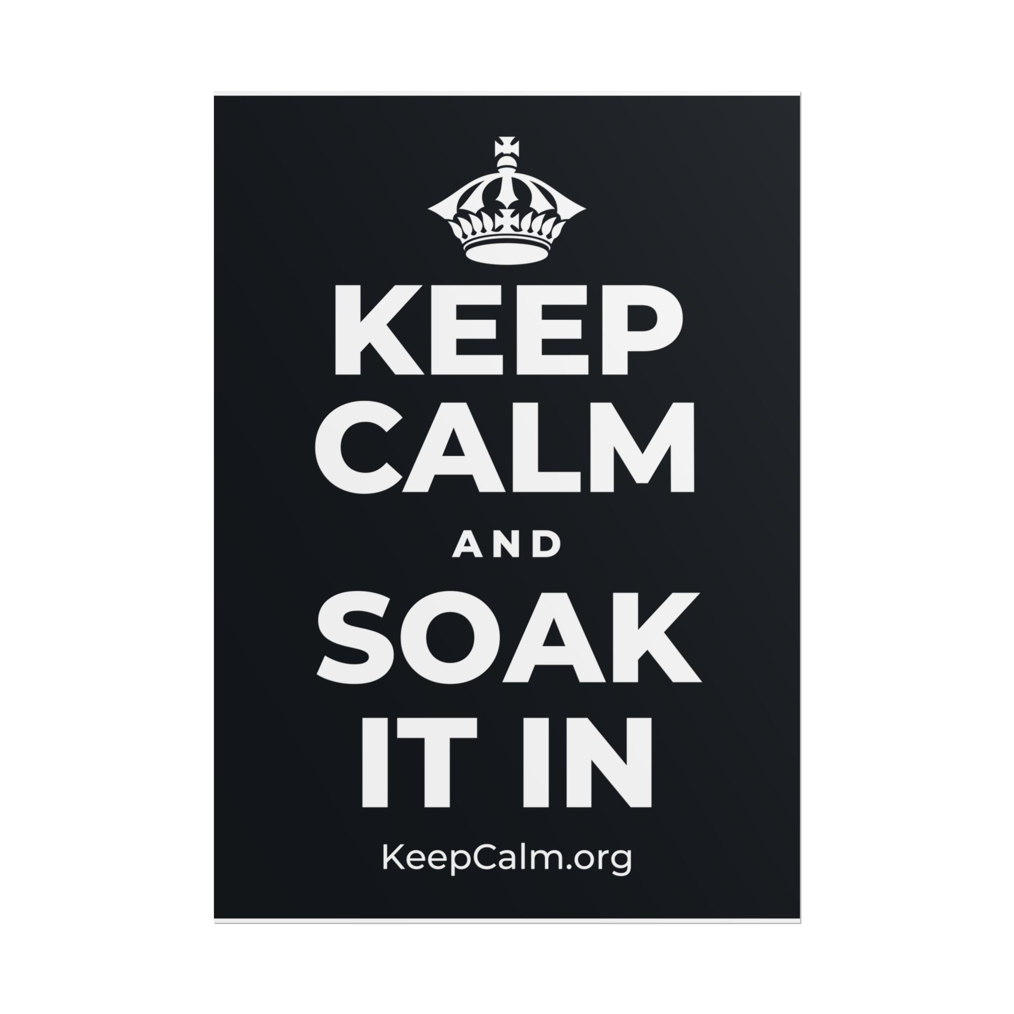 KEEP CALM AND SOAK IT IN Poster (Dark)