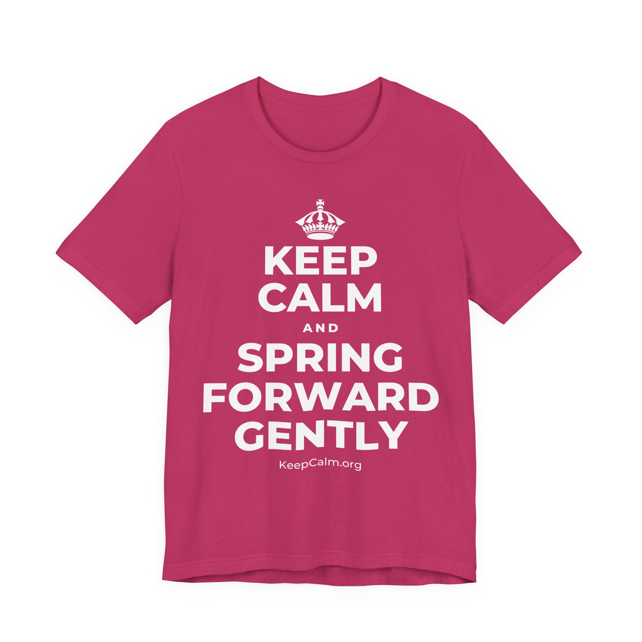 KEEP CALM AND SPRING FORWARD GENTLY T-Shirt (Baby Blue–Silver)