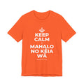 KEEP CALM A MAHALO NO KĒIA WĀ T-Shirt (Baby Blue–Silver)