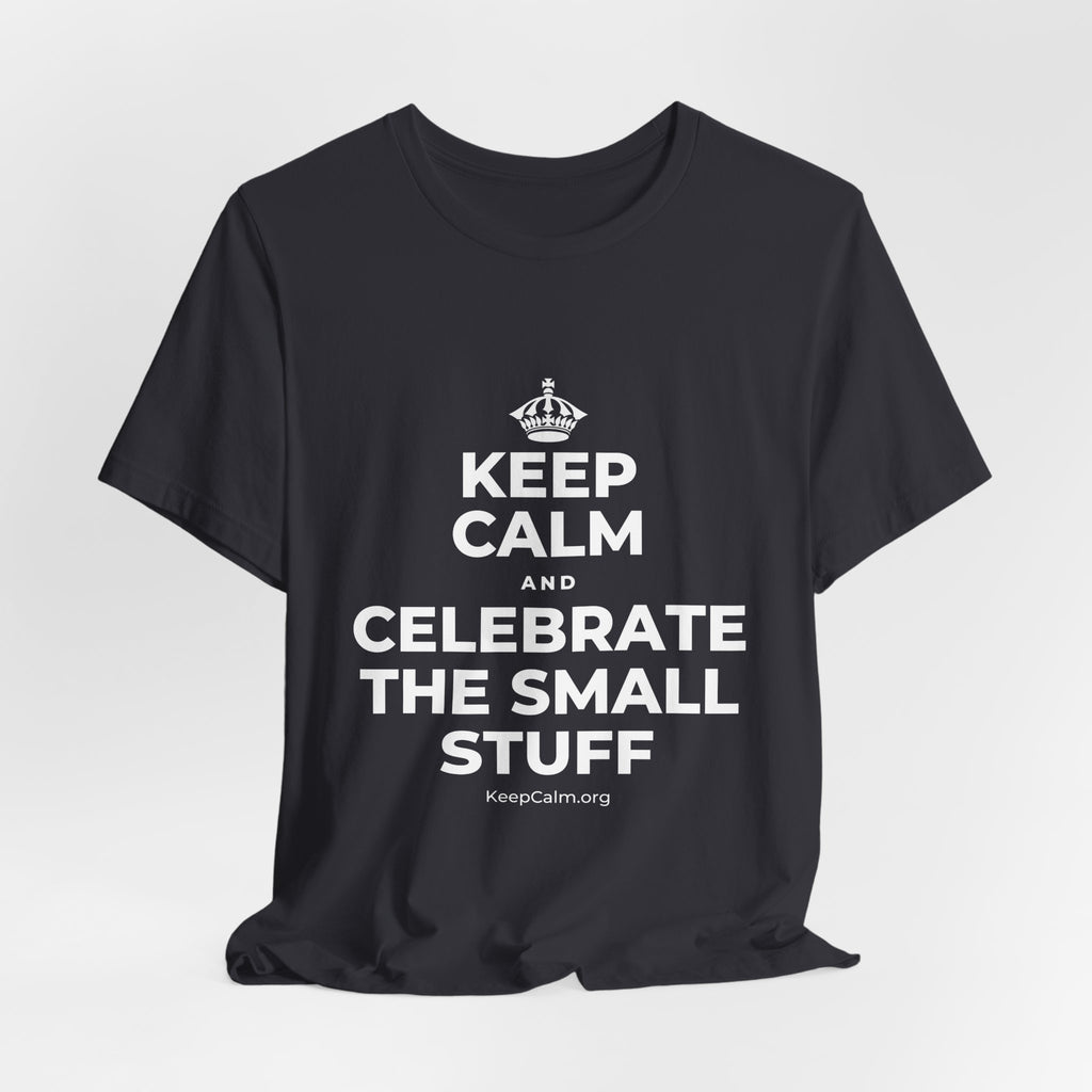 KEEP CALM AND CELEBRATE THE SMALL STUFF T-Shirt (Baby Blue–Silver)