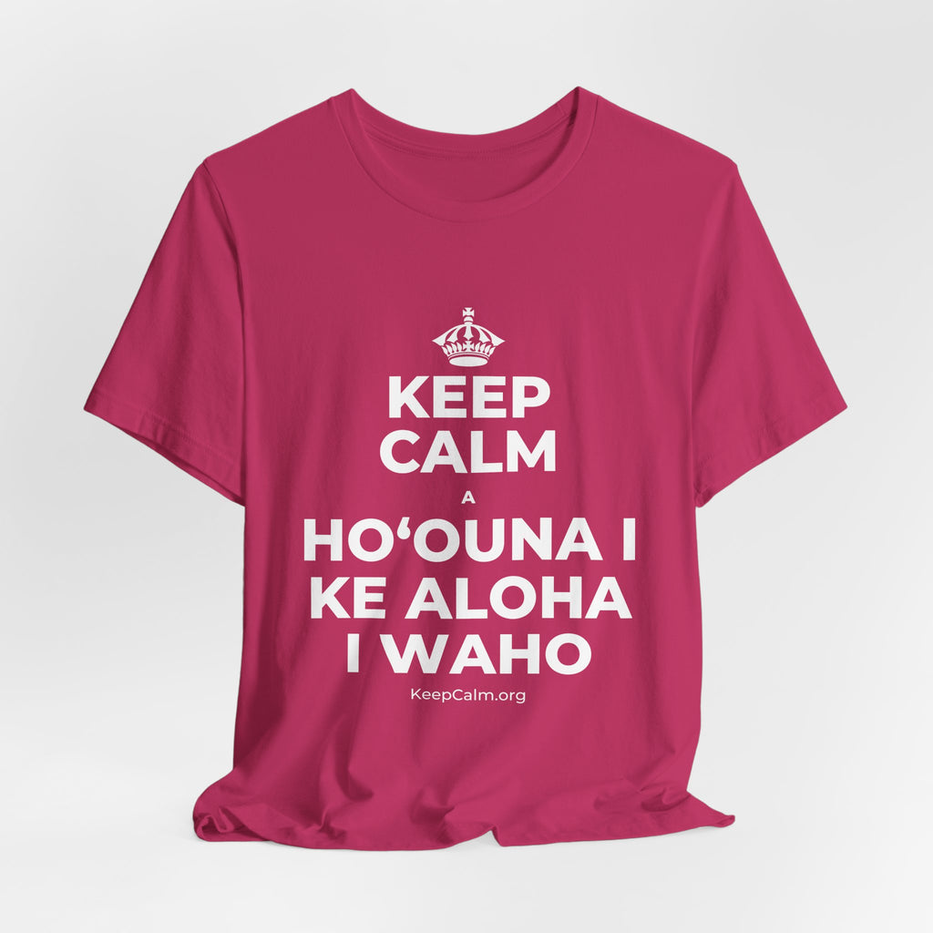 KEEP CALM A HOʻOUNA I KE ALOHA I WAHO T-Shirt (Baby Blue–Silver)