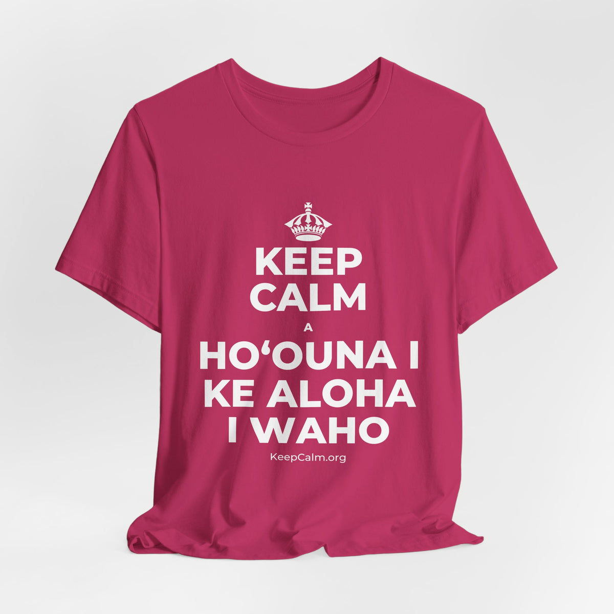 KEEP CALM A HOʻOUNA I KE ALOHA I WAHO T-Shirt (Baby Blue–Silver)