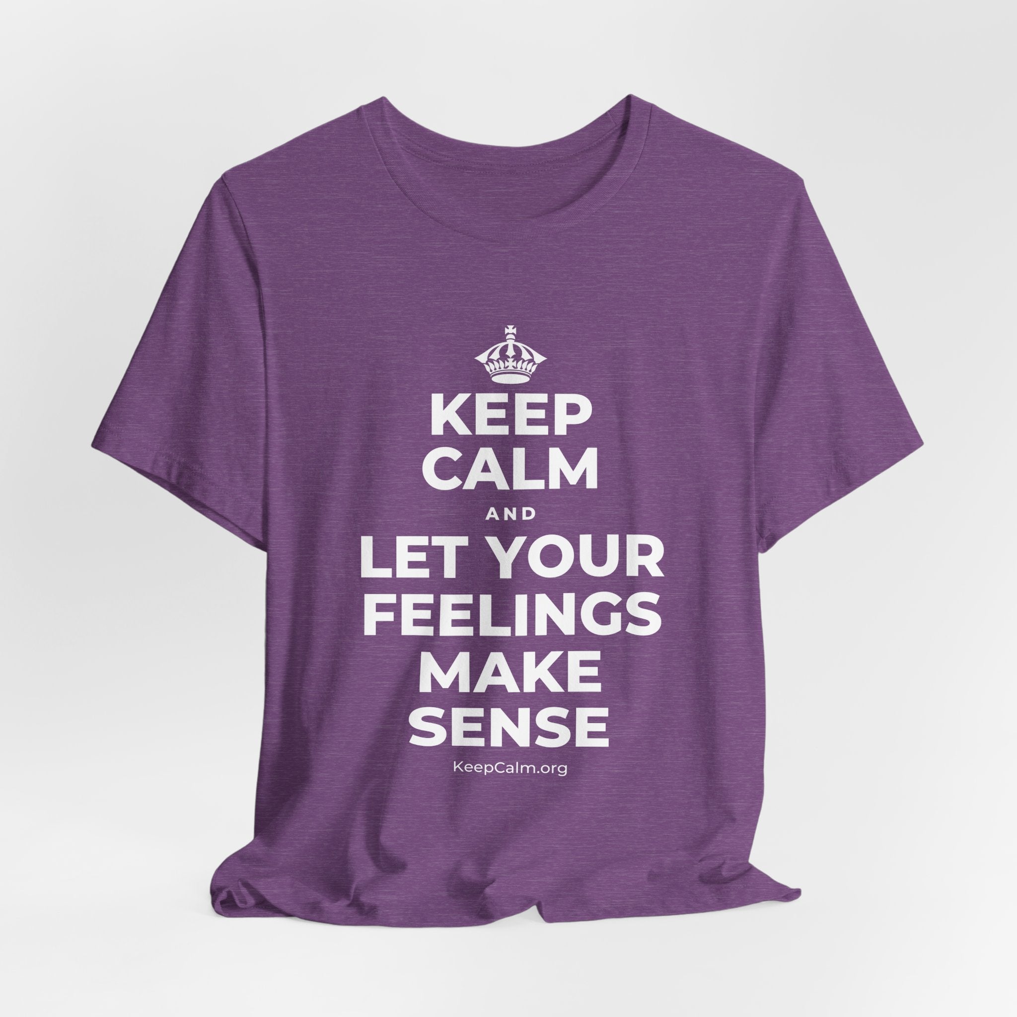 KEEP CALM AND LET YOUR FEELINGS MAKE SENSE T-Shirt (Baby Blue–Silver)