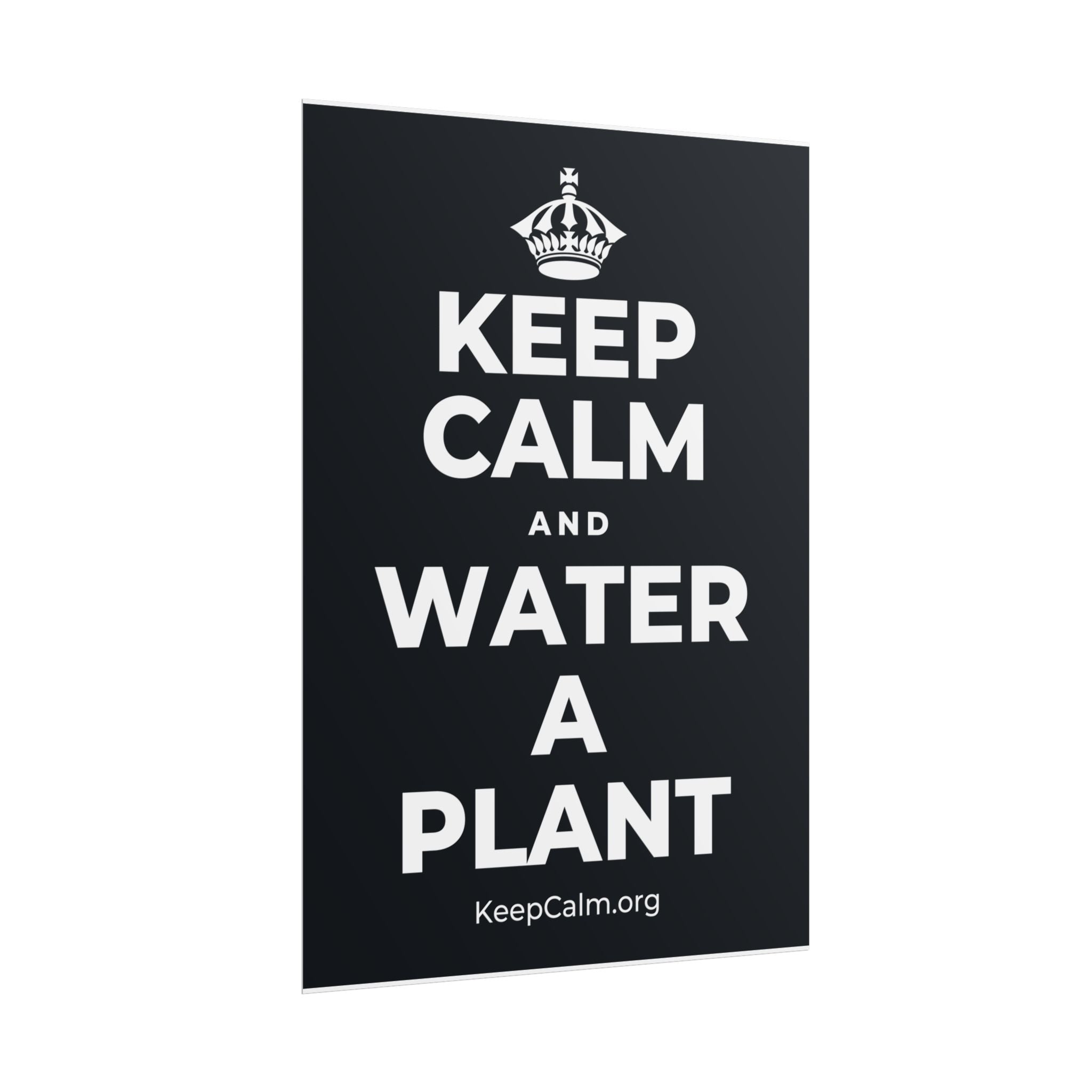 KEEP CALM AND WATER A PLANT Poster (Dark)