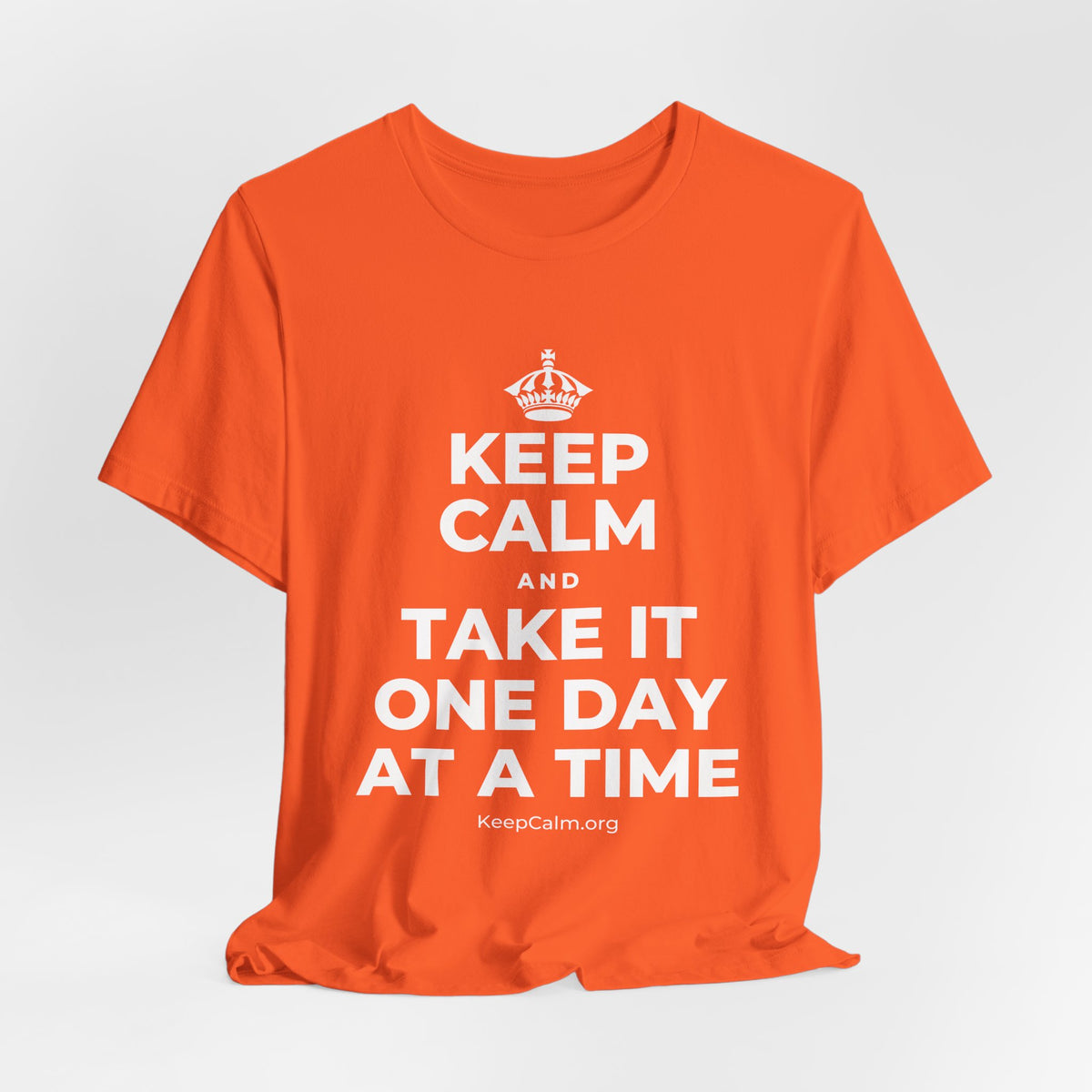 KEEP CALM AND TAKE IT ONE DAY AT A TIME T-Shirt (Baby Blue–Silver)