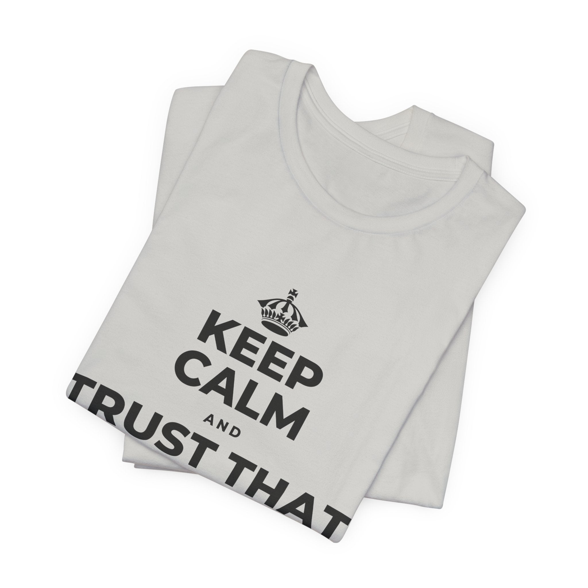 KEEP CALM AND TRUST THAT YOU'RE DOING YOUR BEST T-Shirt (Baby Blue–Silver)