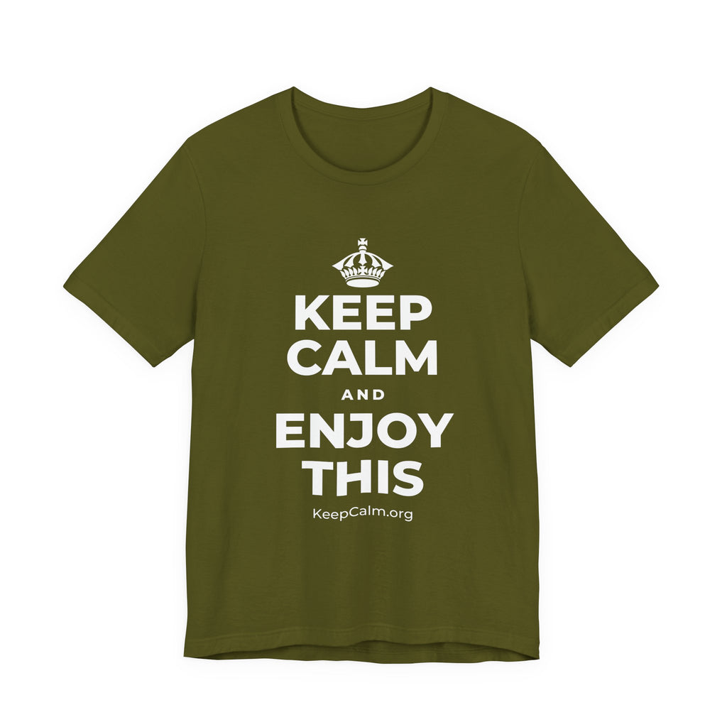 KEEP CALM AND ENJOY THIS T-Shirt (Baby Blue–Silver)