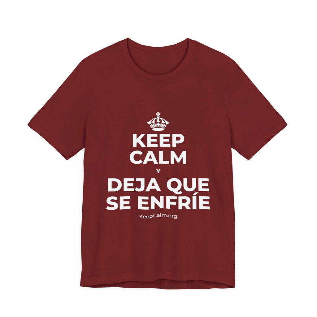 KEEP CALM Y DEJA QUE SE ENFRÍE T-Shirt (Baby Blue–Silver)