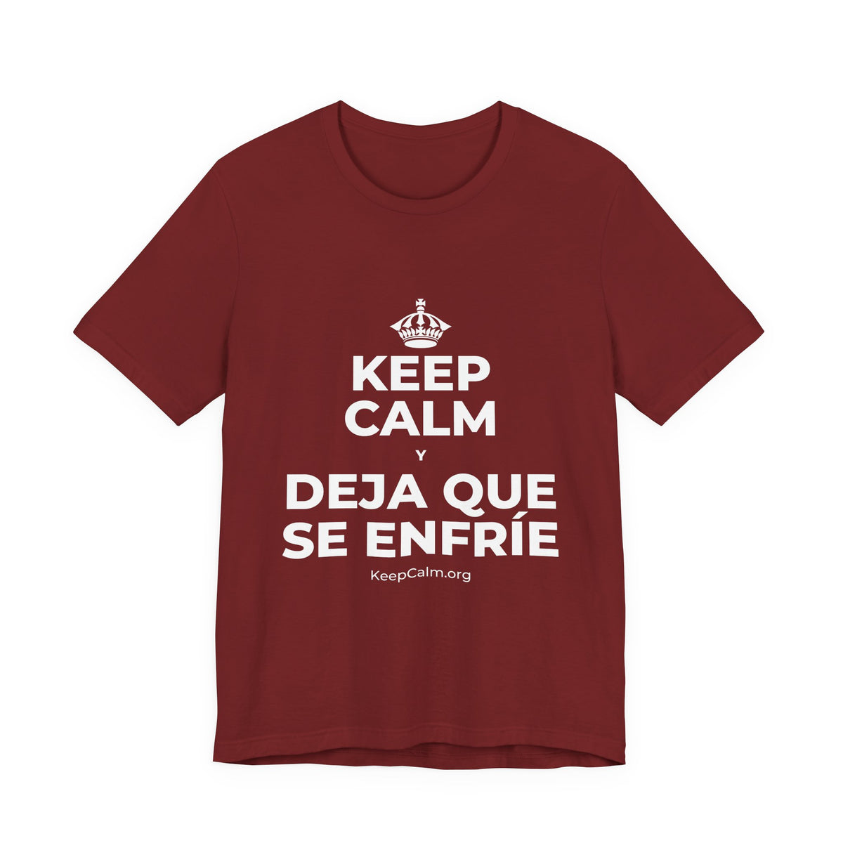 KEEP CALM Y DEJA QUE SE ENFRÍE T-Shirt (Baby Blue–Silver)