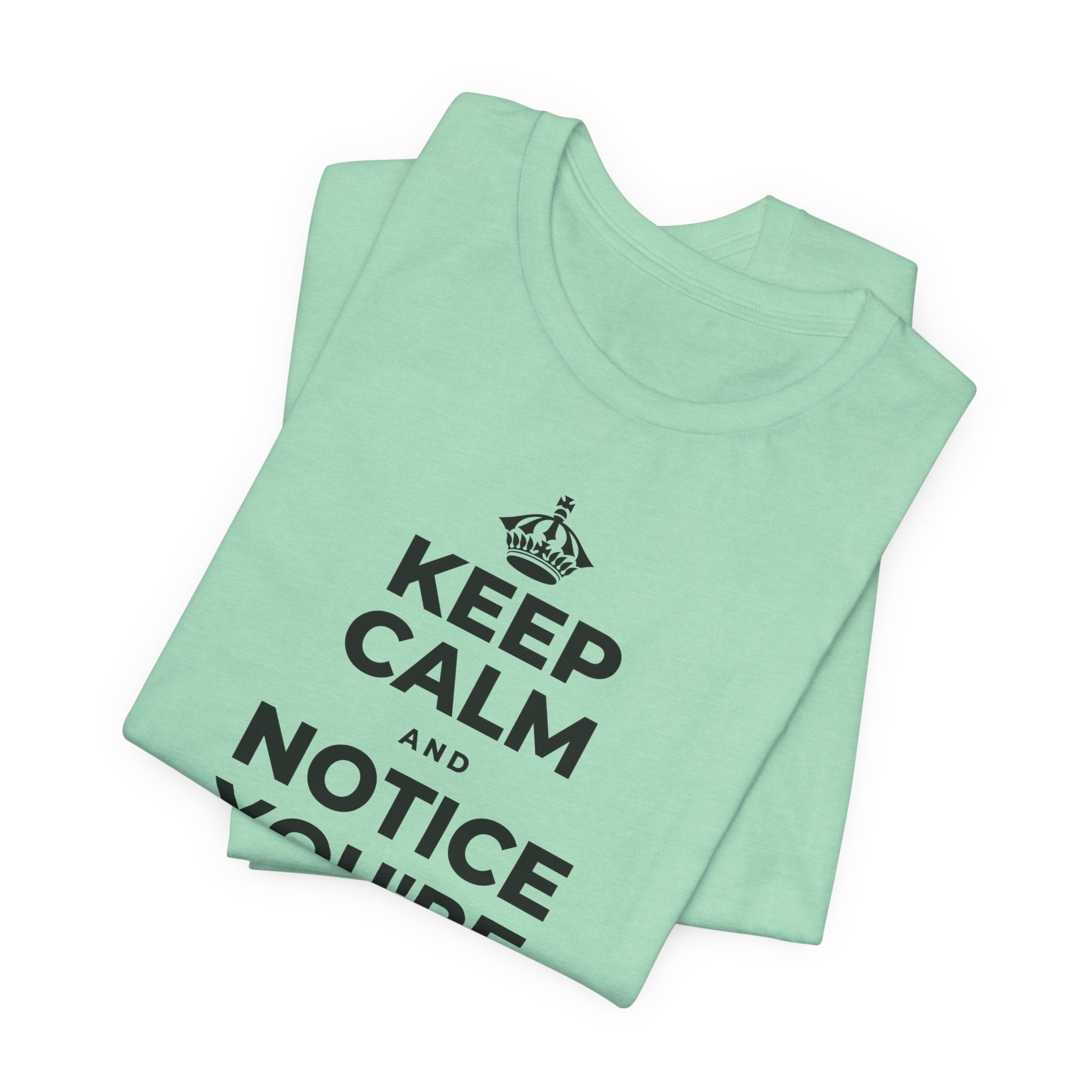 KEEP CALM AND NOTICE YOU'RE SAFE RIGHT NOW T-Shirt (Baby Blue–Silver)