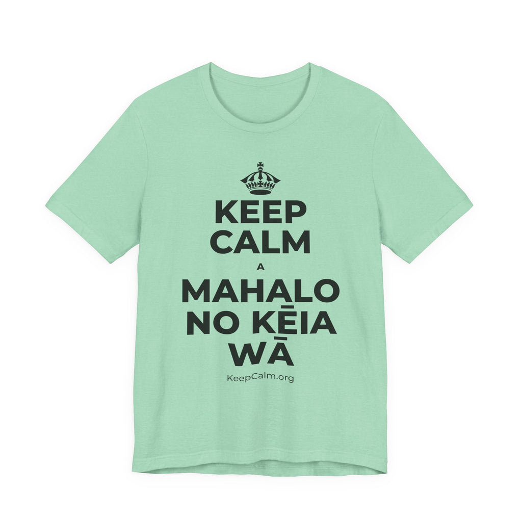 KEEP CALM A MAHALO NO KĒIA WĀ T-Shirt (Baby Blue–Silver)