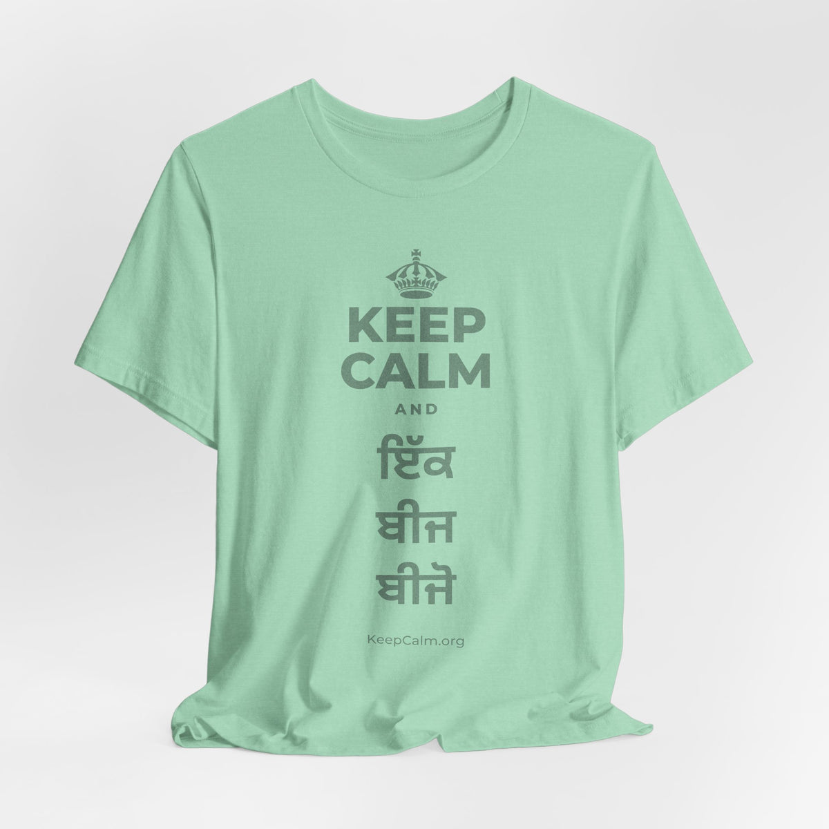 KEEP CALM AND ਇੱਕ ਬੀਜ ਬੀਜੋ T-Shirt (Baby Blue–Silver)
