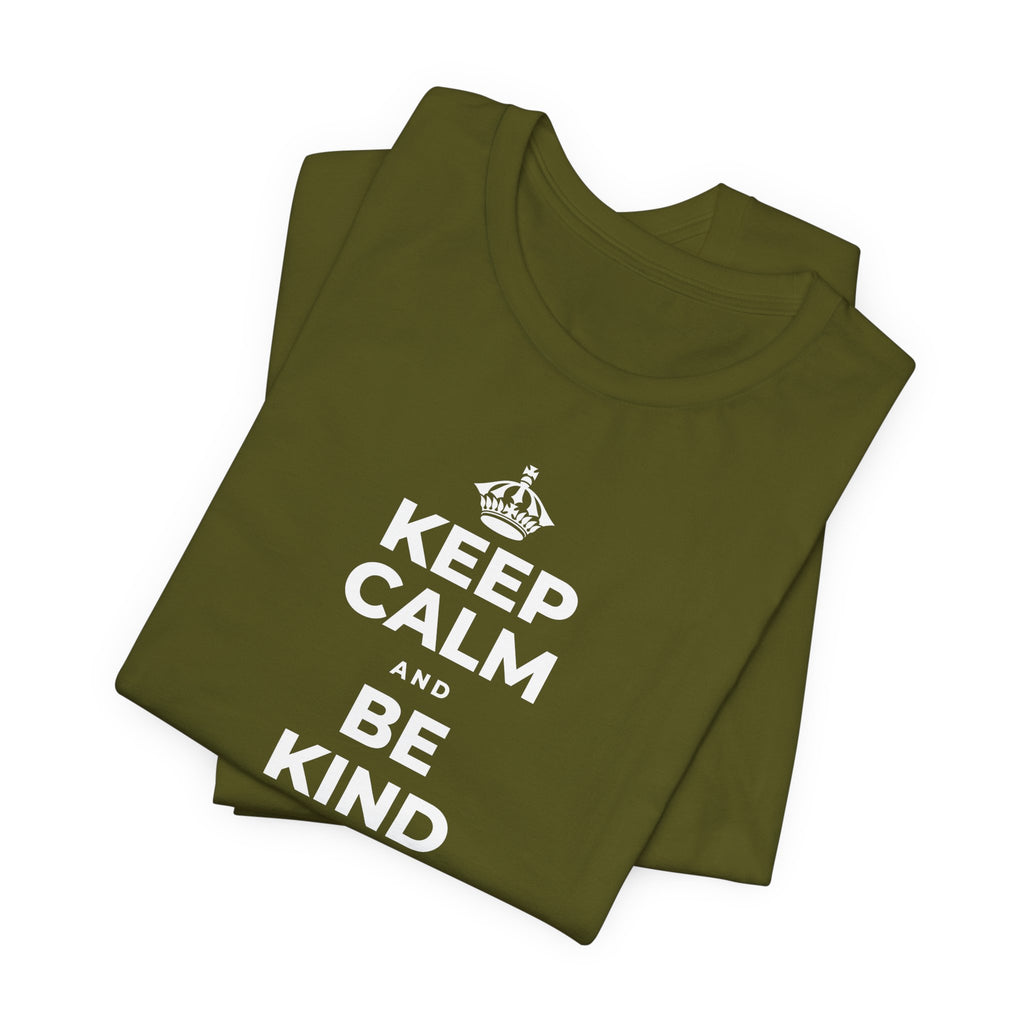 KEEP CALM AND BE KIND TO THE NEW KID T-Shirt (Baby Blue–Silver)