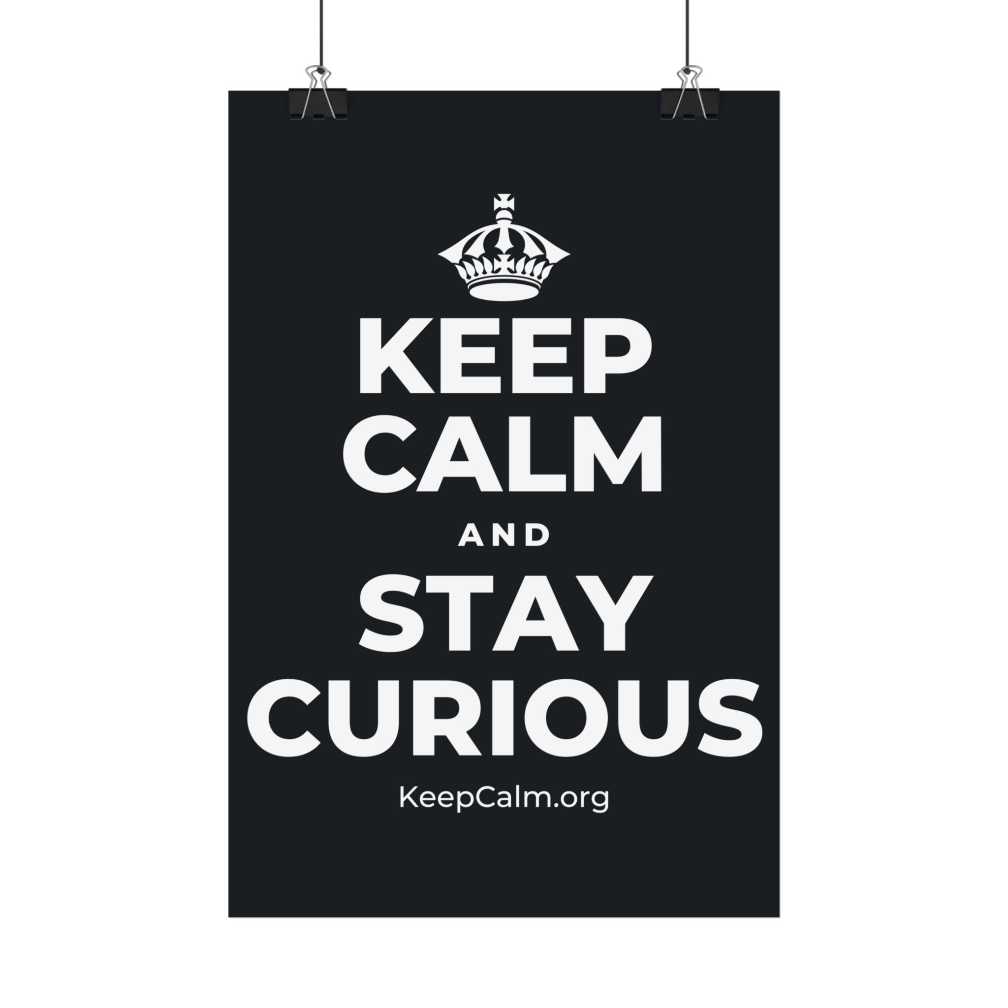 KEEP CALM AND STAY CURIOUS Satin Poster (Dark)