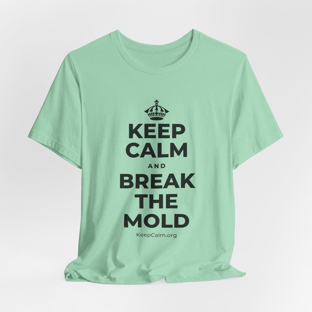 KEEP CALM AND BREAK THE MOLD T-Shirt (Baby Blue–Silver)