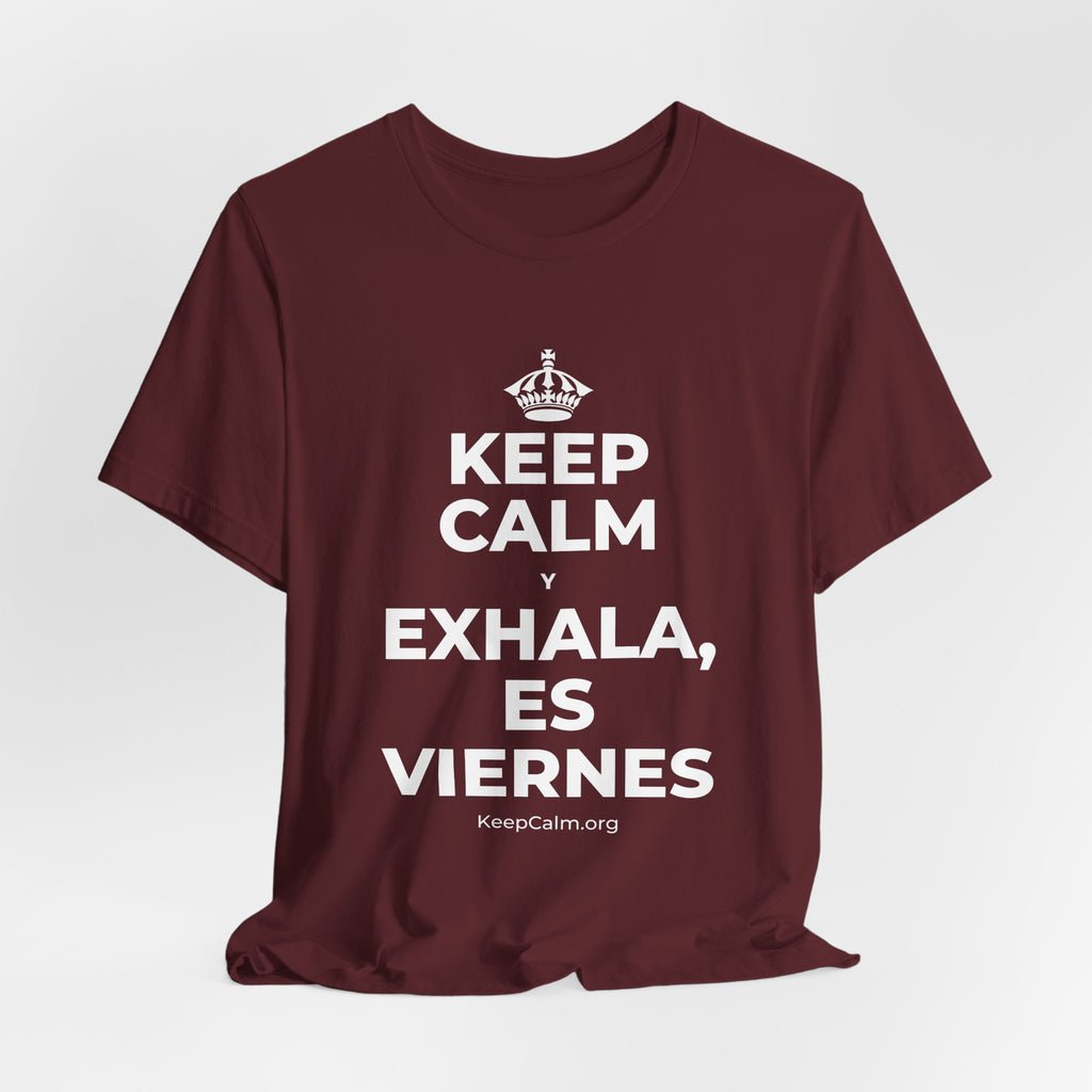 KEEP CALM Y EXHALA, ES VIERNES T-Shirt (Baby Blue–Silver)
