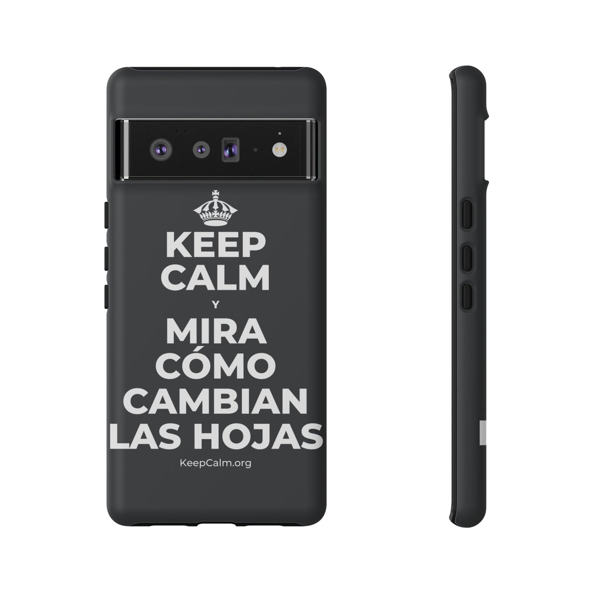 KEEP CALM Y MIRA CÓMO CAMBIAN LAS HOJAS Phone Case (Dark)