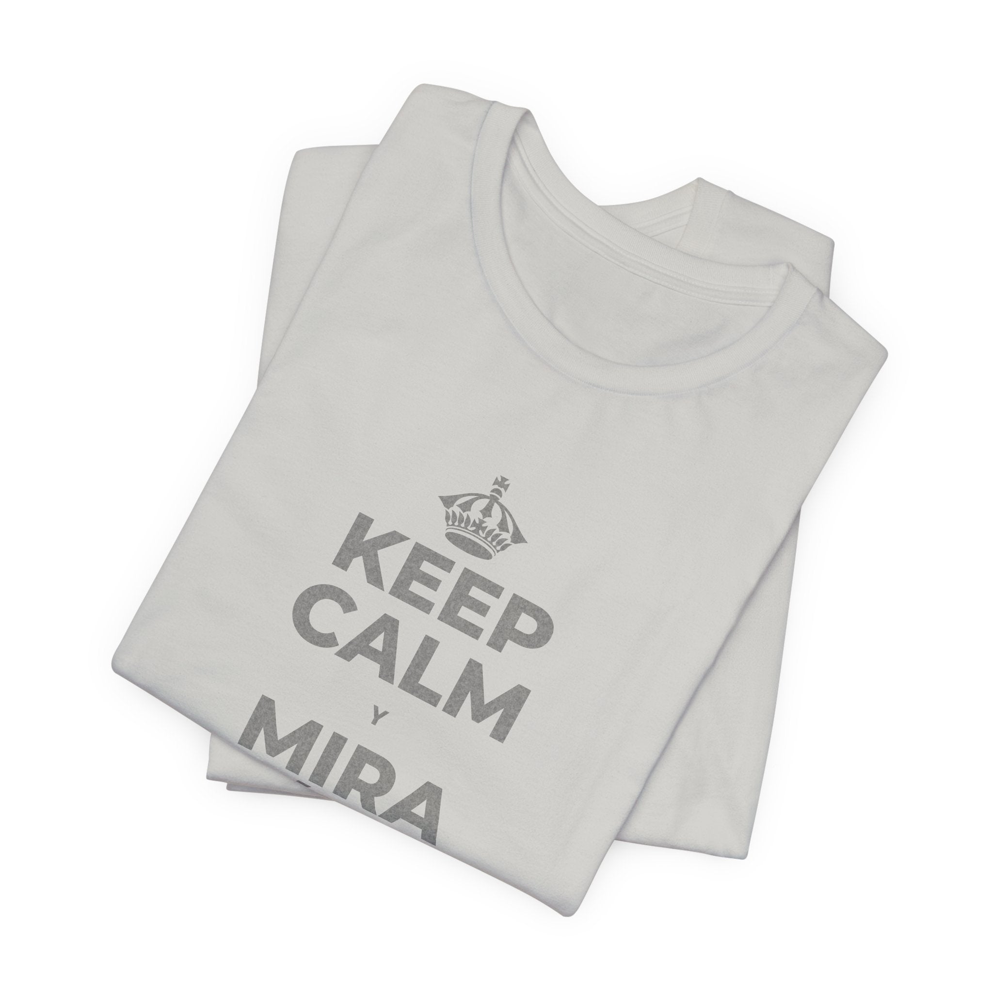 KEEP CALM Y MIRA CÓMO CAMBIAN LAS HOJAS T-Shirt (Baby Blue–Silver)