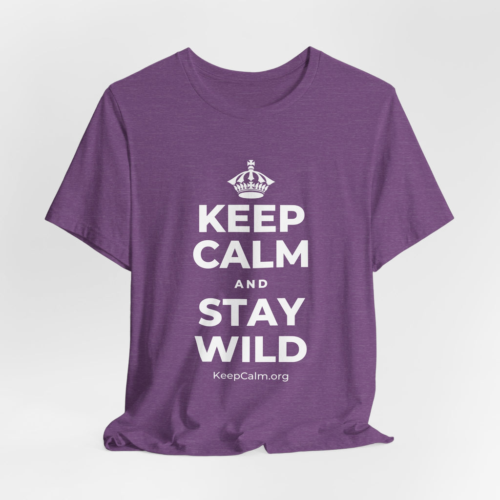 KEEP CALM AND STAY WILD T-Shirt (Baby Blue–Silver)