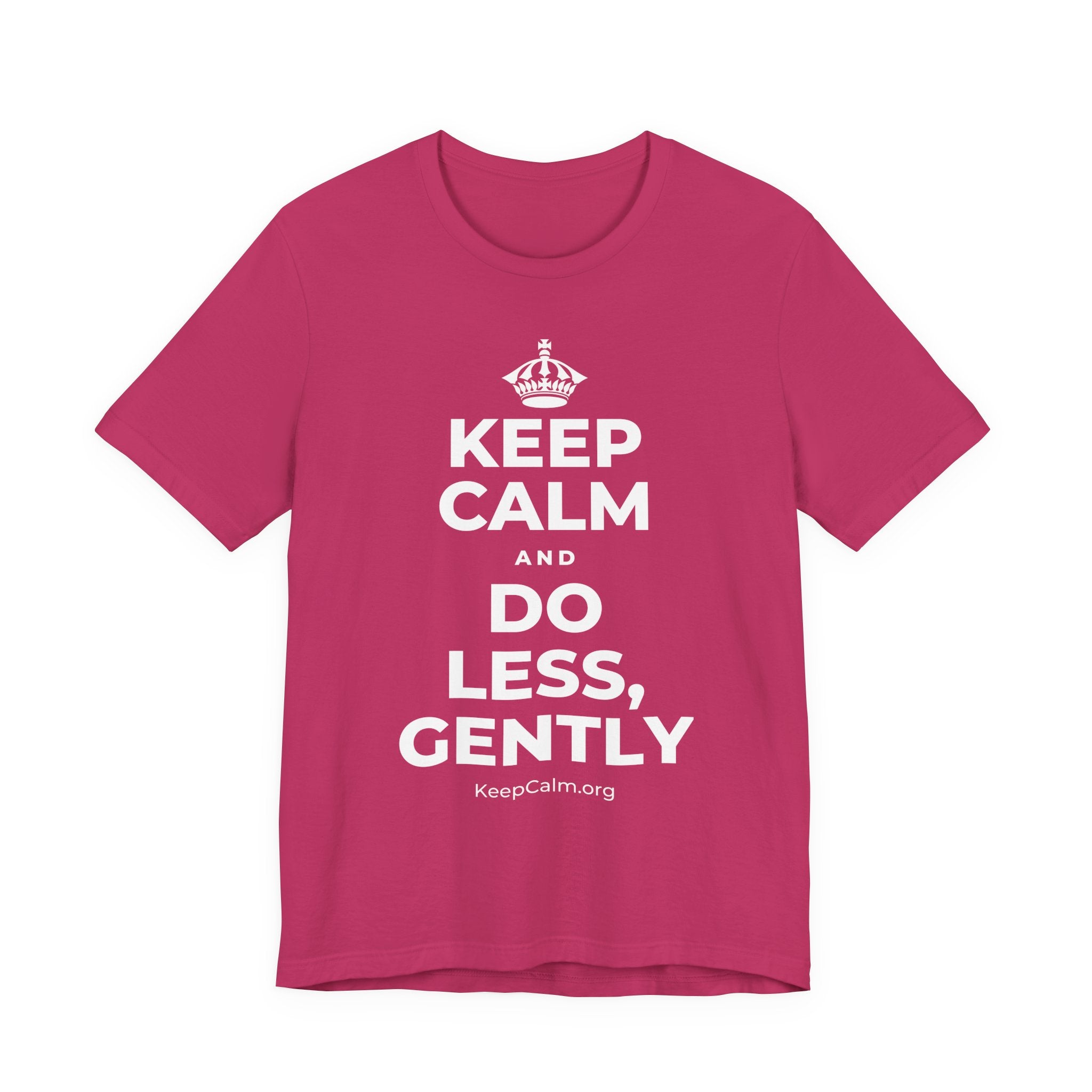 KEEP CALM AND DO LESS, GENTLY T-Shirt (Baby Blue–Silver)
