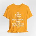 KEEP CALM A HOʻOPIHA I KOU KĪʻAHA ME KE ALOHA T-Shirt (Baby Blue–Silver)