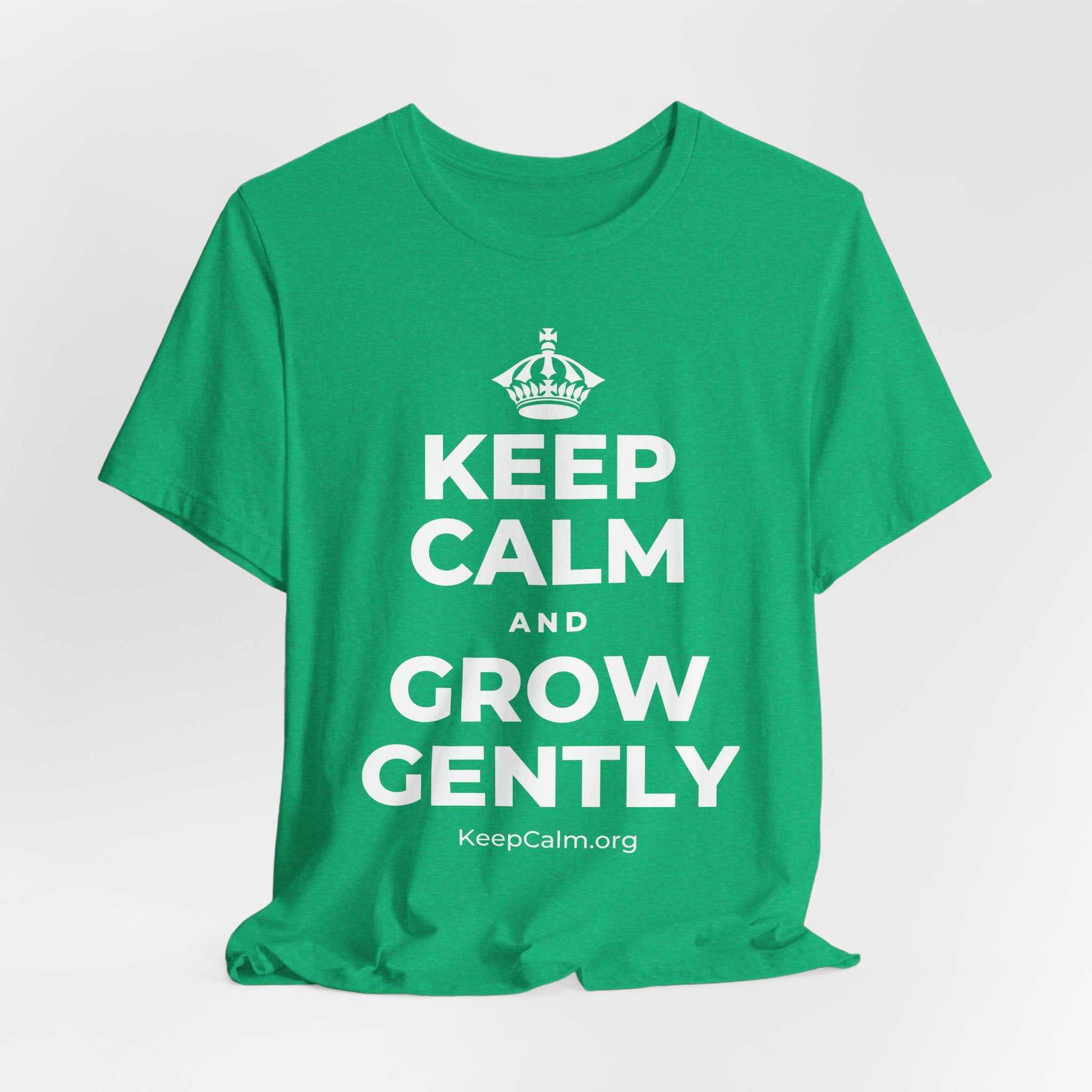 KEEP CALM AND GROW GENTLY T-Shirt (Baby Blue–Silver)