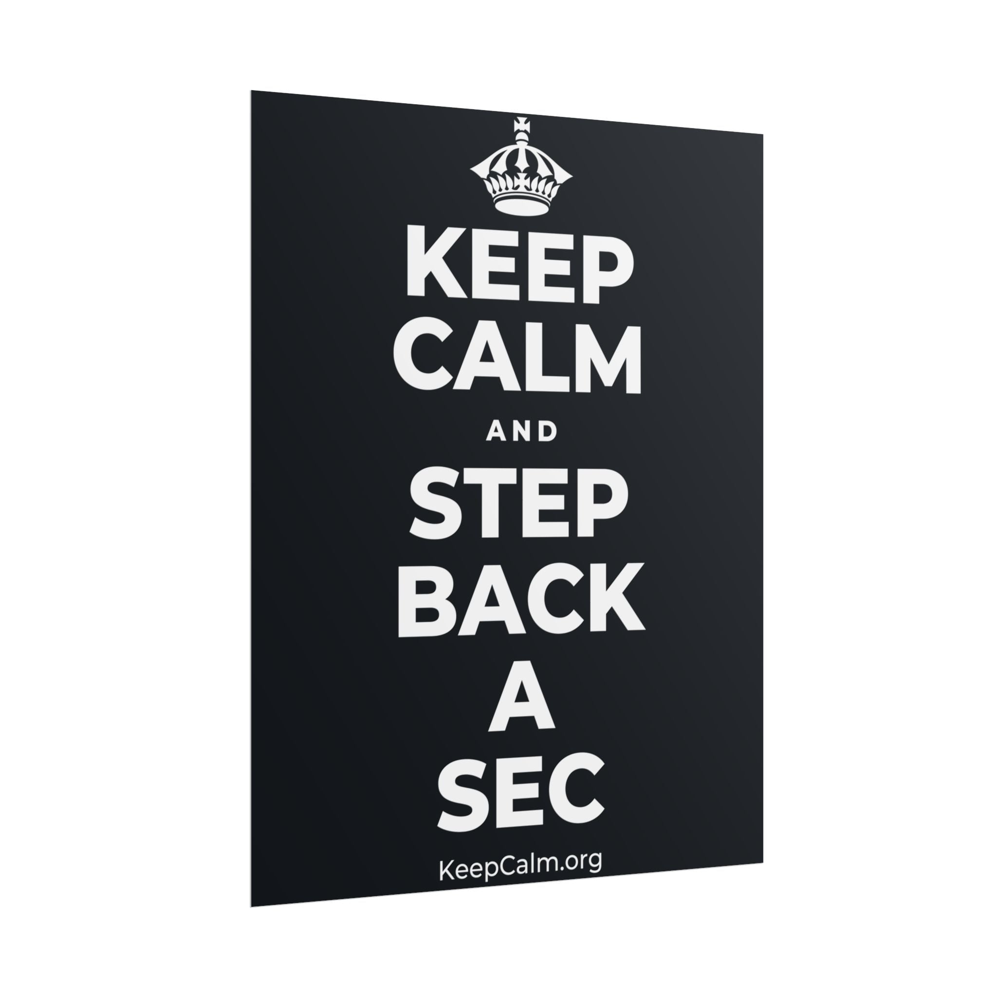 KEEP CALM AND STEP BACK A SEC Poster (Dark)