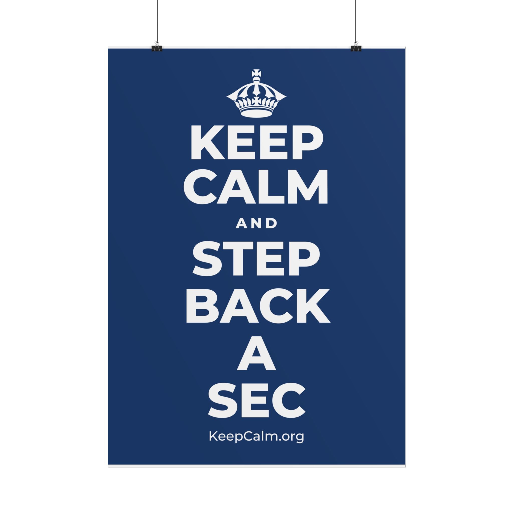 KEEP CALM AND STEP BACK A SEC Poster