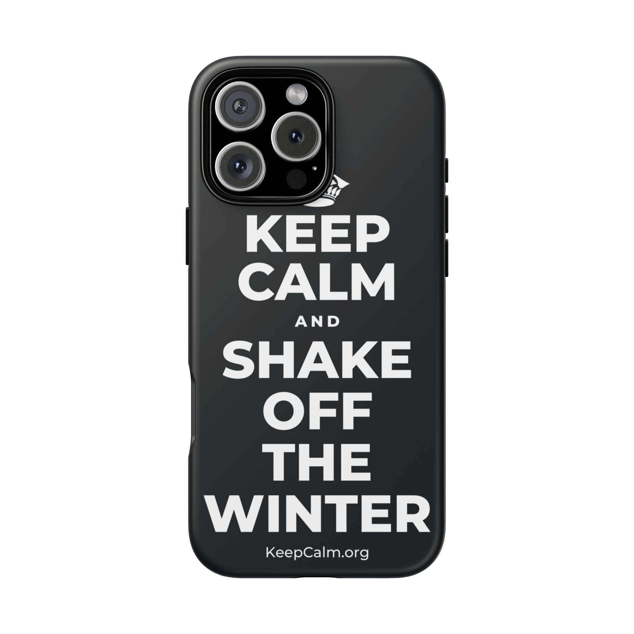 KEEP CALM AND SHAKE OFF THE WINTER Phone Case (Dark)