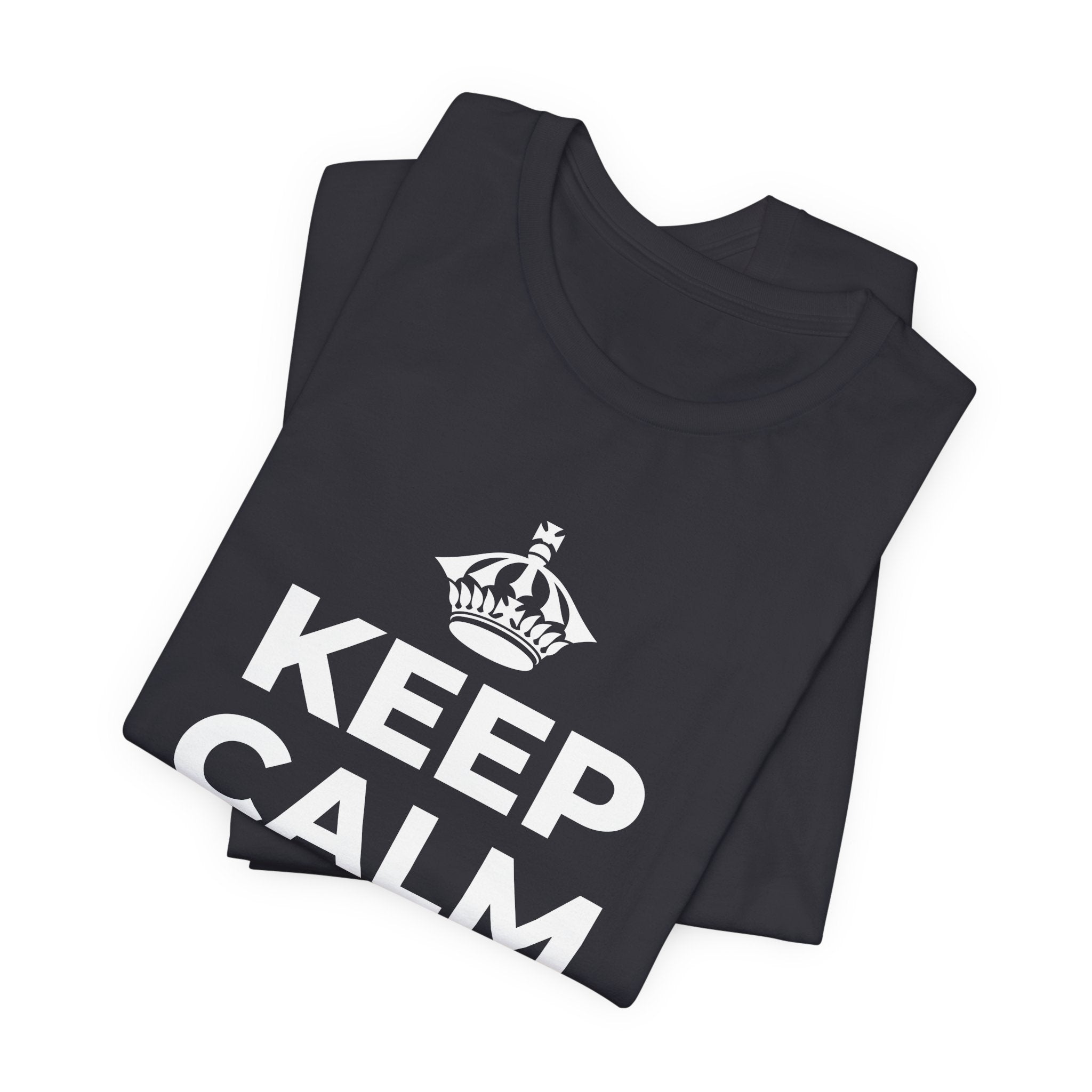 KEEP CALM AND 🐝 😄 T-Shirt (Baby Blue–Silver)