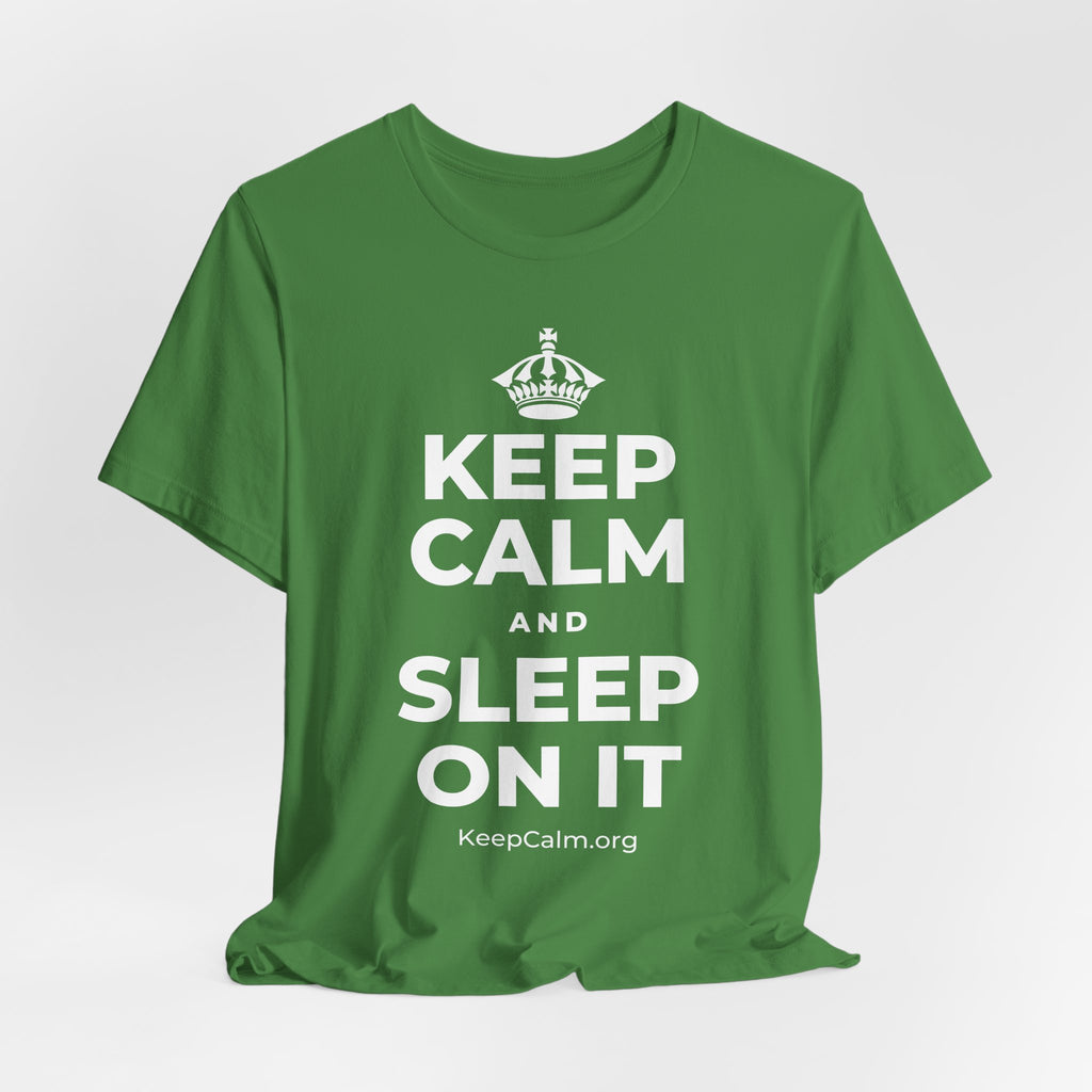 KEEP CALM AND SLEEP ON IT T-Shirt (Baby Blue–Silver)