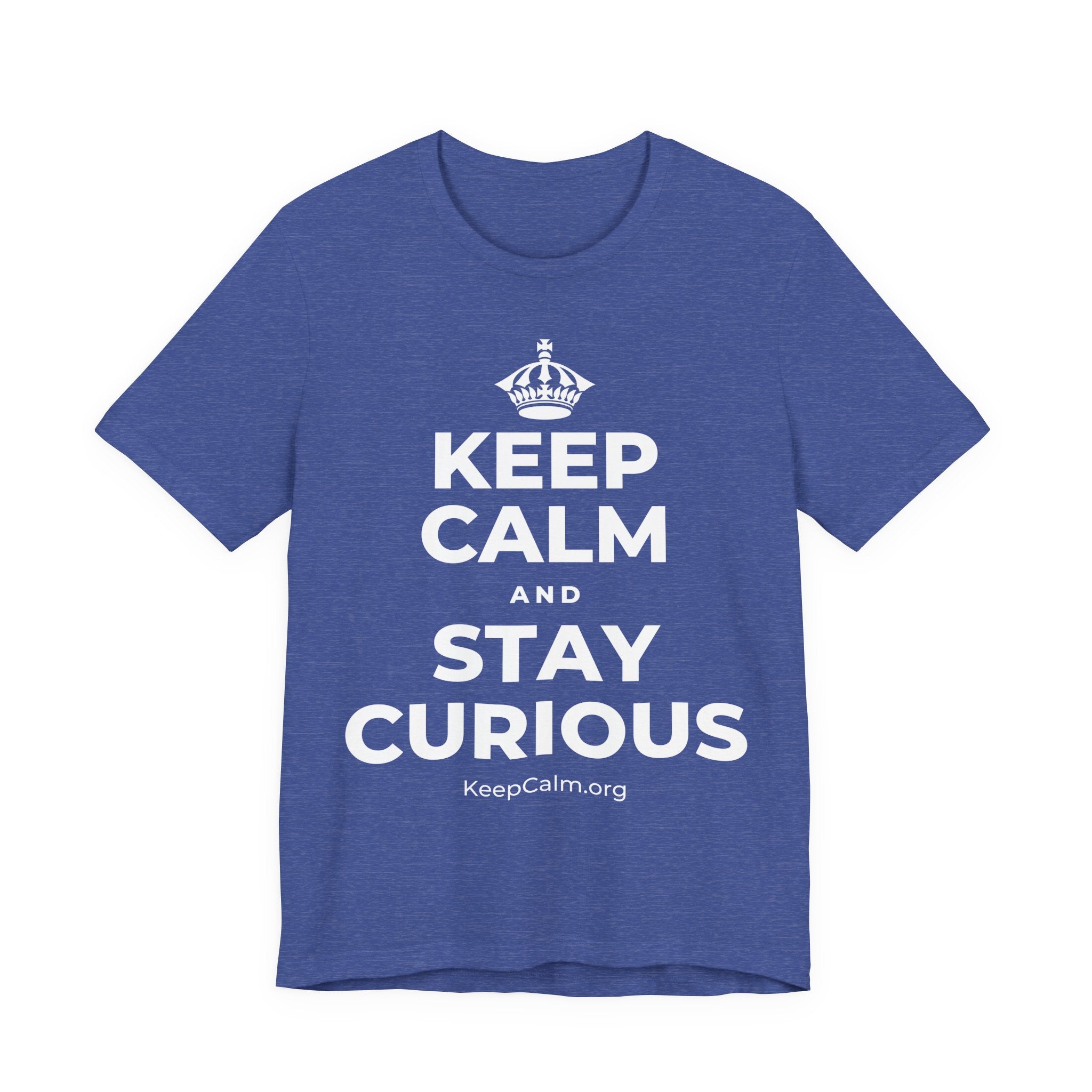KEEP CALM AND STAY CURIOUS T-Shirt (Baby Blue–Silver)