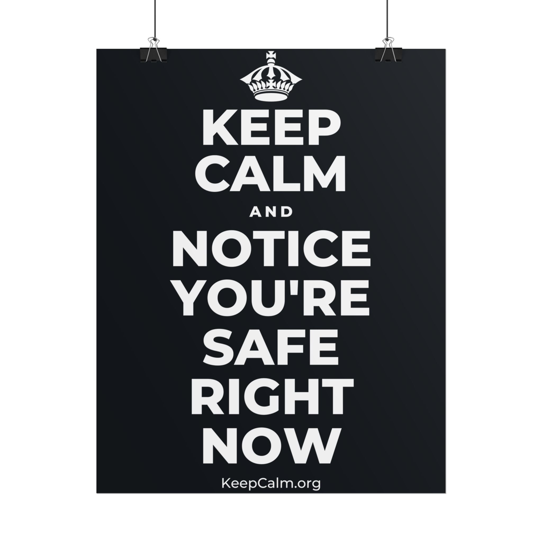 KEEP CALM AND NOTICE YOU'RE SAFE RIGHT NOW Poster (Dark)