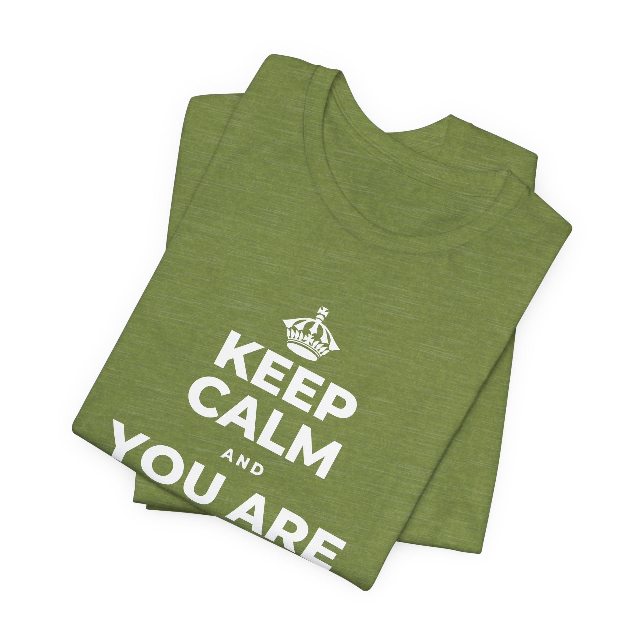 KEEP CALM AND YOU ARE DOING GREAT TODAY T-Shirt (Baby Blue–Silver)