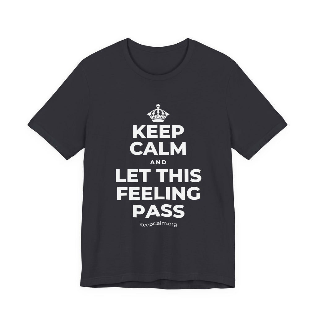 KEEP CALM AND LET THIS FEELING PASS T-Shirt (Baby Blue–Silver)