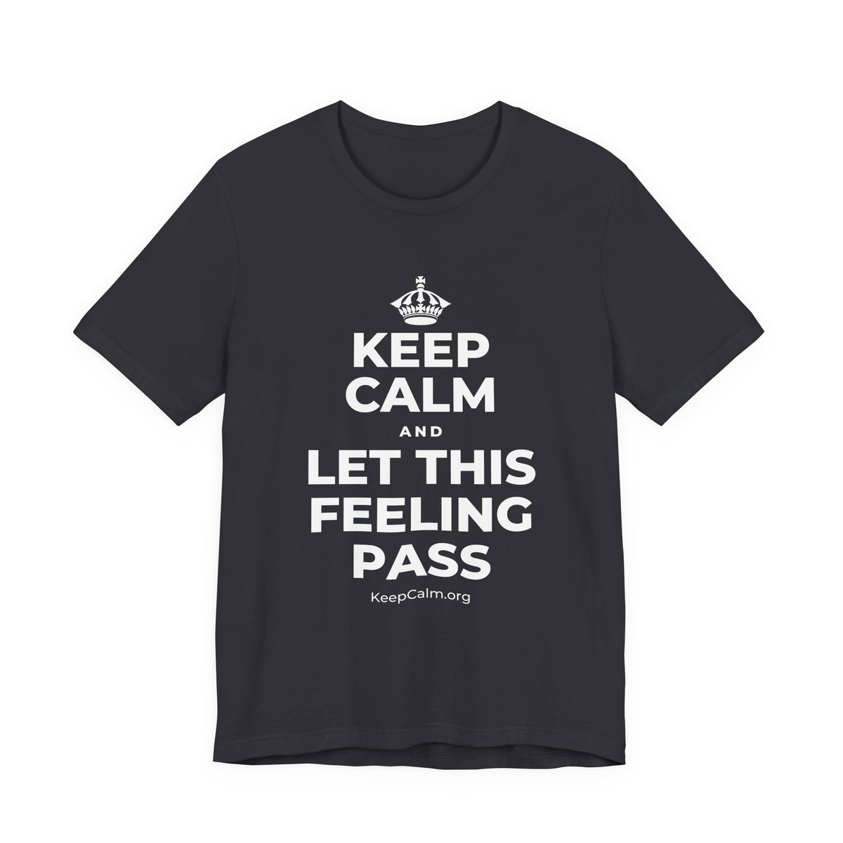 KEEP CALM AND LET THIS FEELING PASS T-Shirt (Baby Blue–Silver)