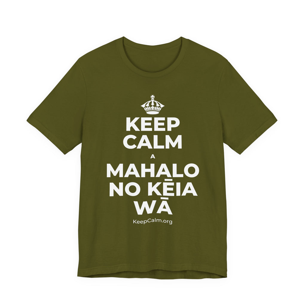 KEEP CALM A MAHALO NO KĒIA WĀ T-Shirt (Baby Blue–Silver)