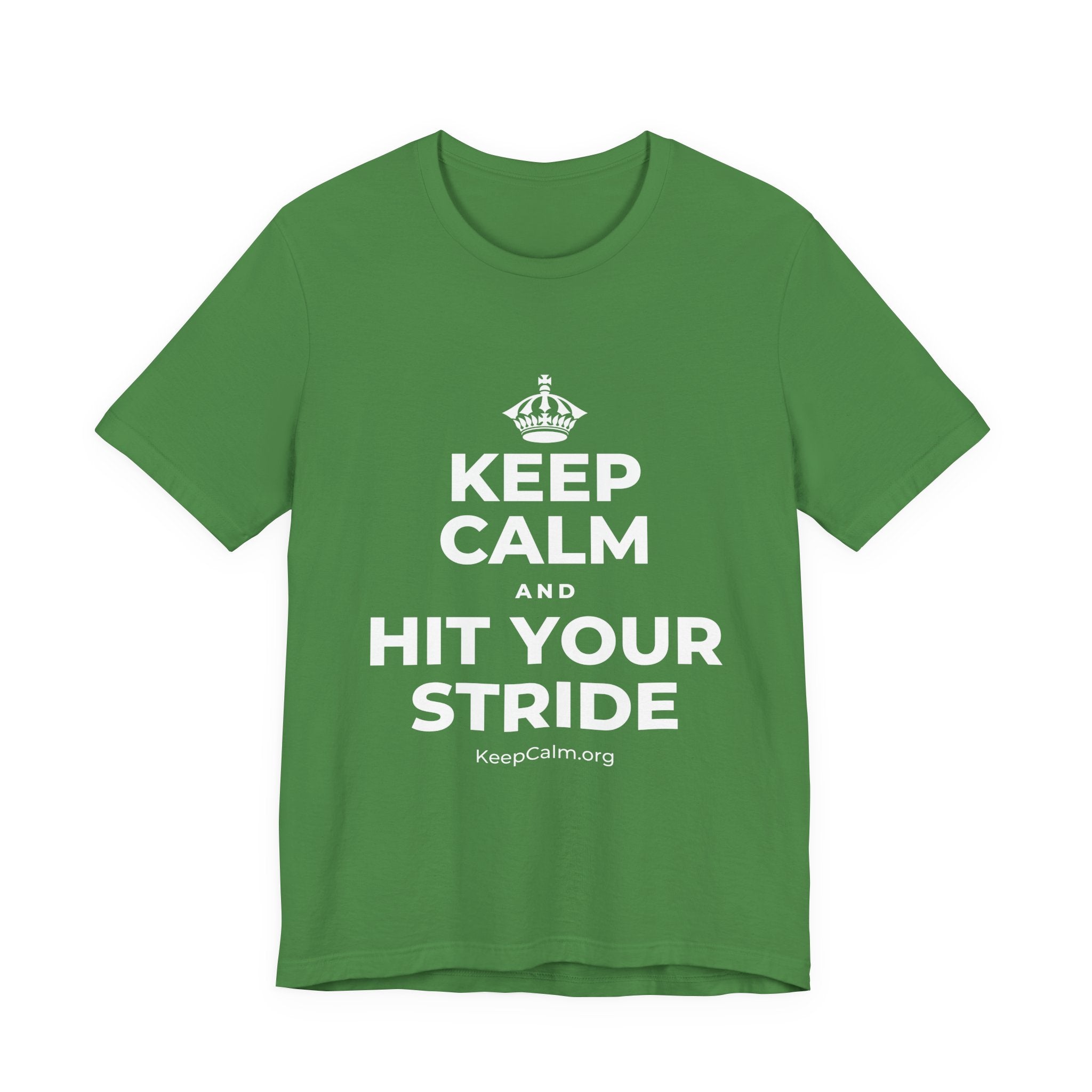KEEP CALM AND HIT YOUR STRIDE T-Shirt (Baby Blue–Silver)