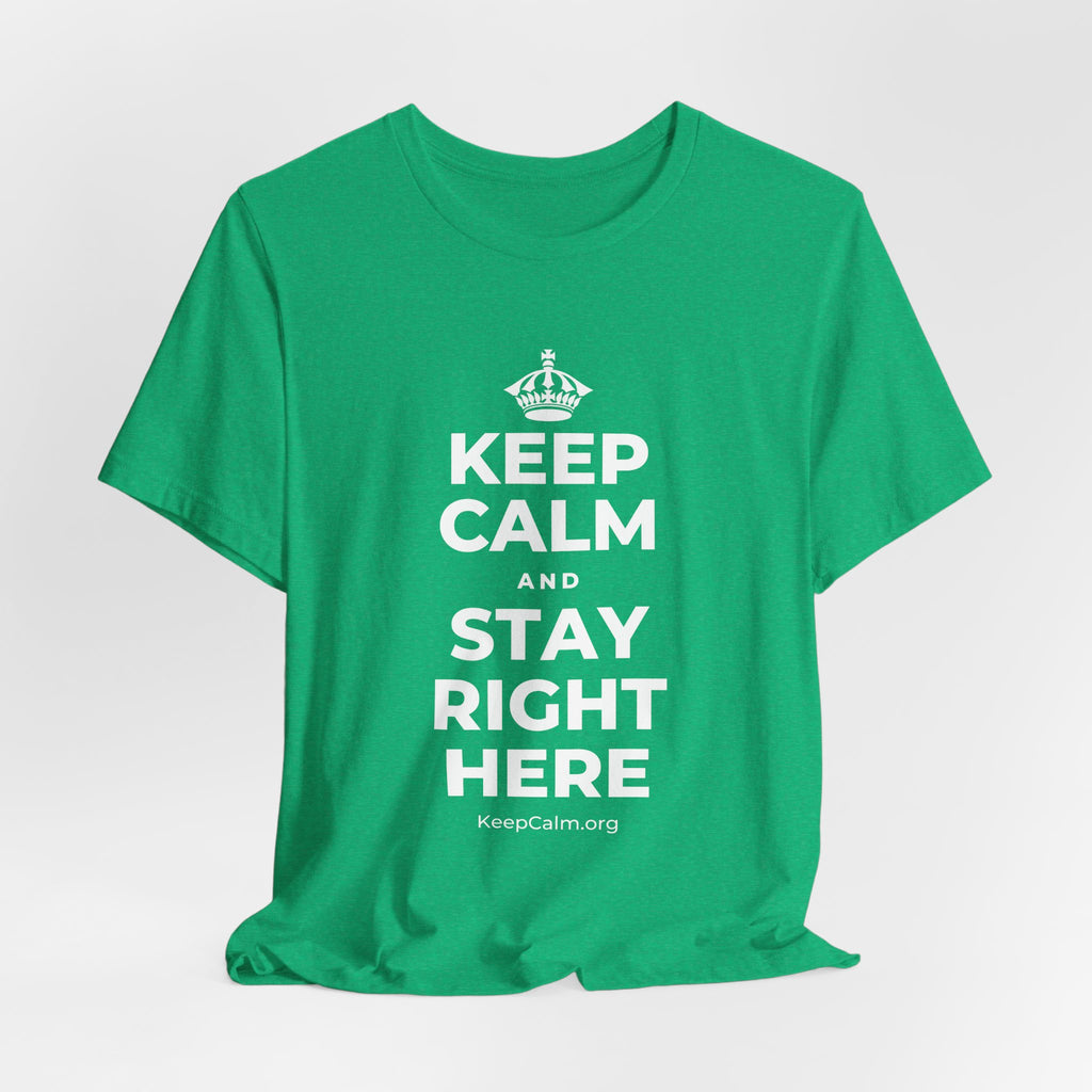 KEEP CALM AND STAY RIGHT HERE T-Shirt (Baby Blue–Silver)