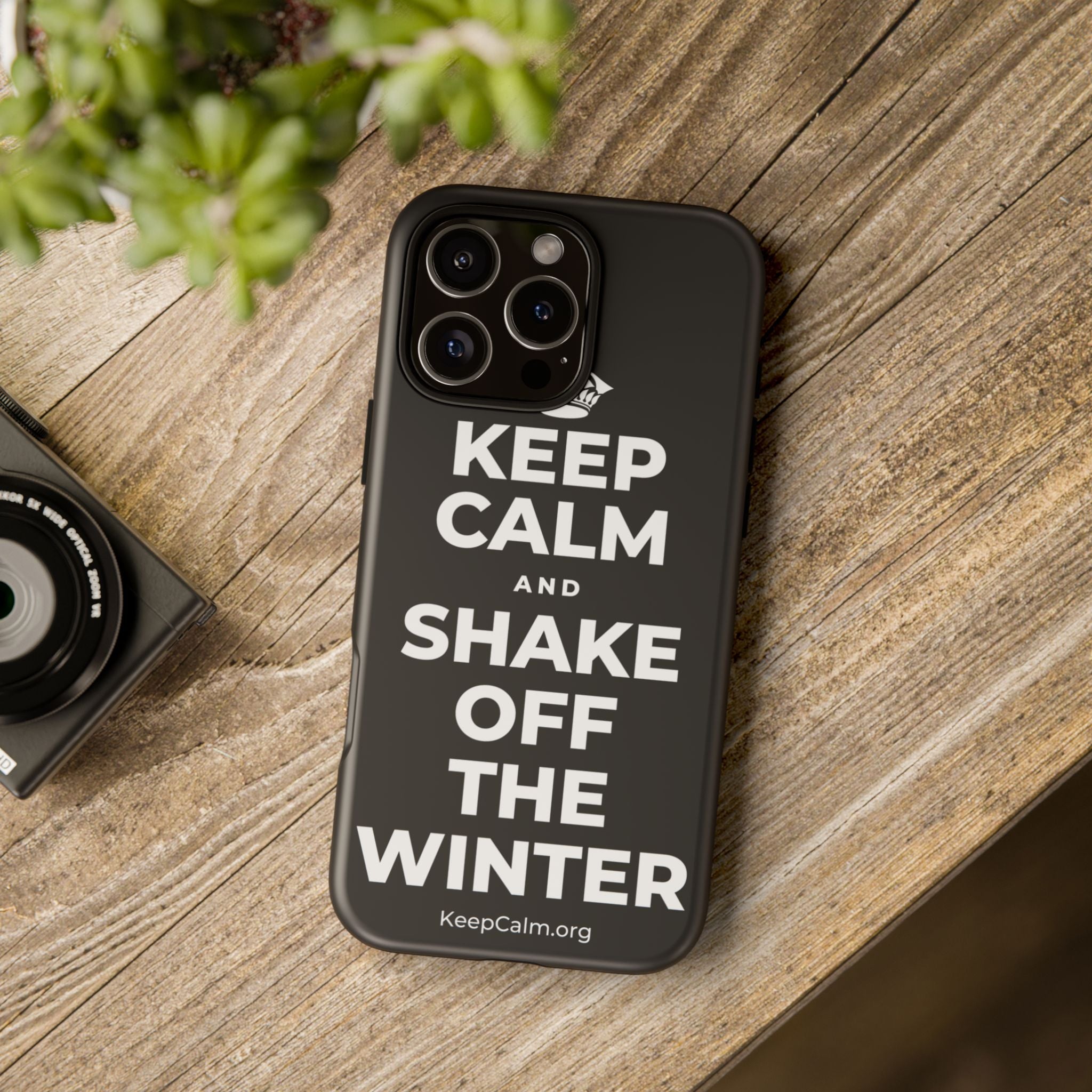 KEEP CALM AND SHAKE OFF THE WINTER Phone Case