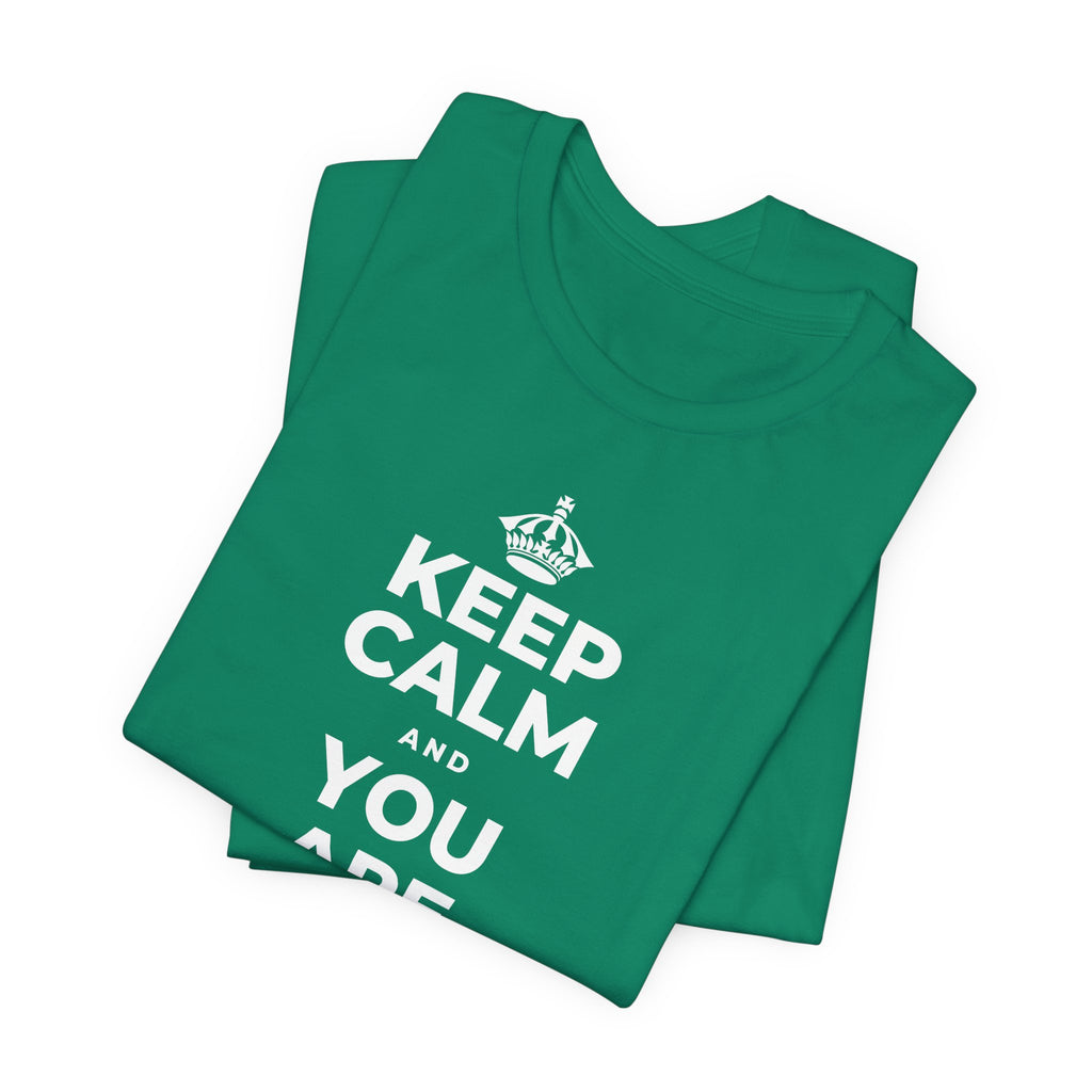 KEEP CALM AND YOU ARE DOING GREAT TODAY T-Shirt (White–Asphalt)