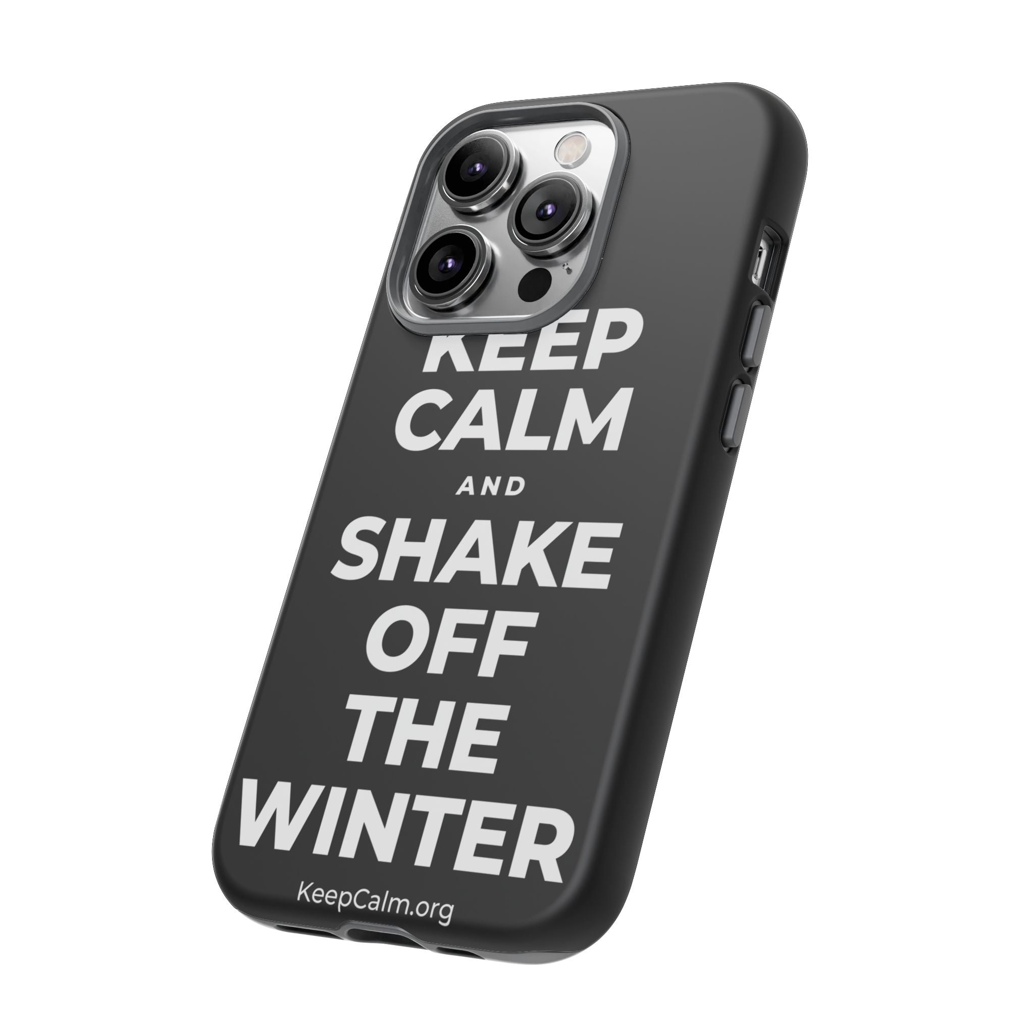 KEEP CALM AND SHAKE OFF THE WINTER Phone Case