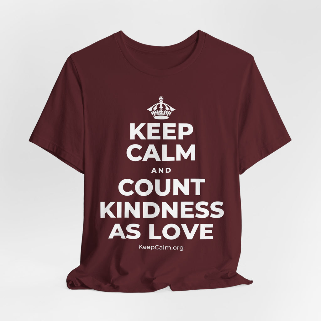 KEEP CALM AND COUNT KINDNESS AS LOVE T-Shirt (Baby Blue–Silver)