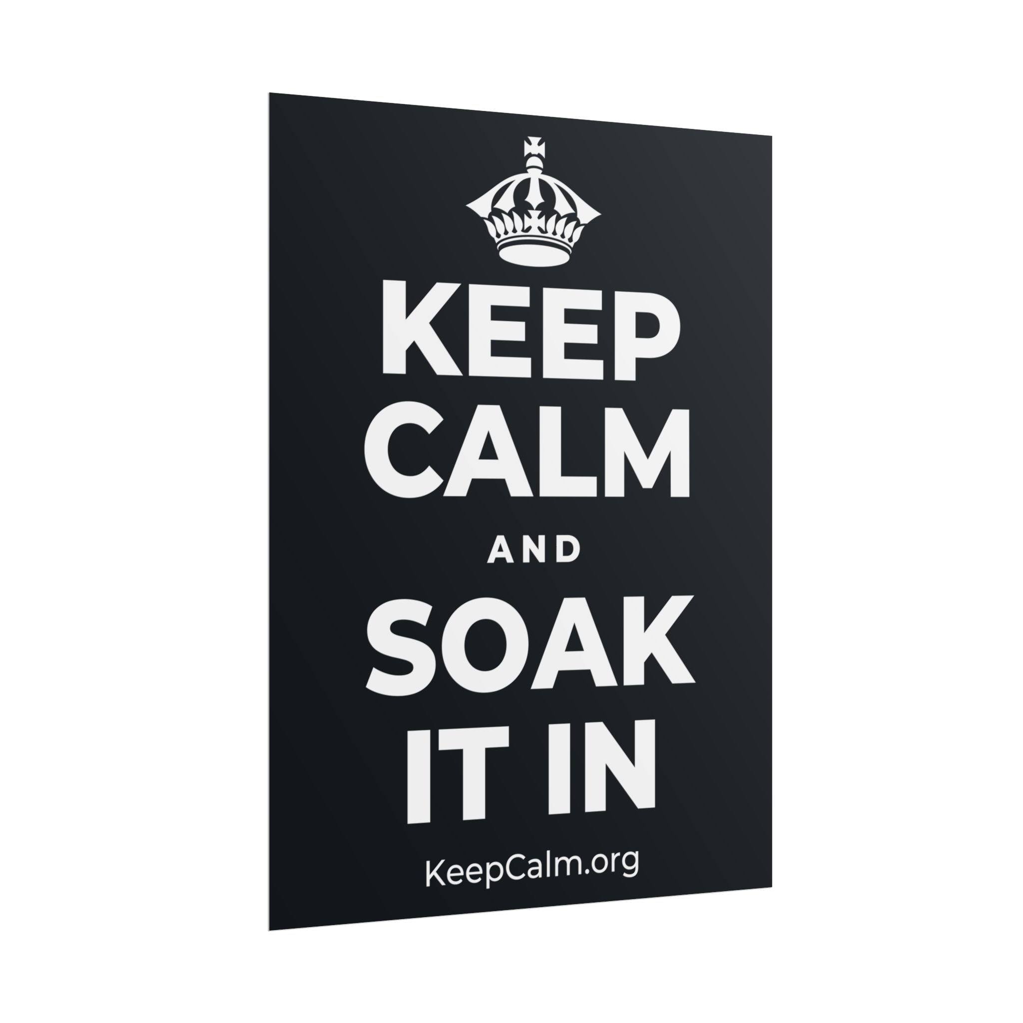 KEEP CALM AND SOAK IT IN Poster (Dark)