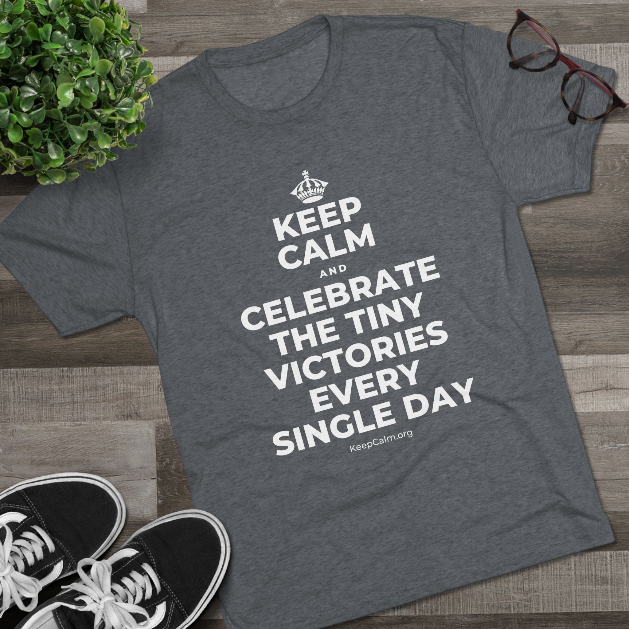 KEEP CALM AND CELEBRATE THE TINY VICTORIES EVERY SINGLE DAY Tri-Blend Tee