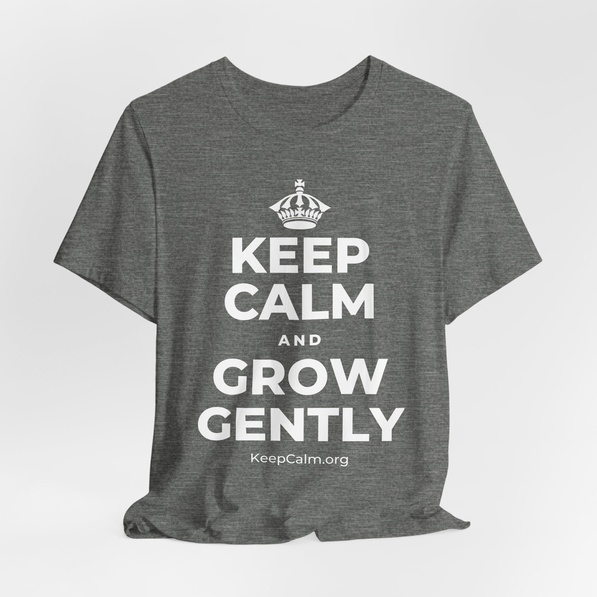KEEP CALM AND GROW GENTLY T-Shirt (Baby Blue–Silver)