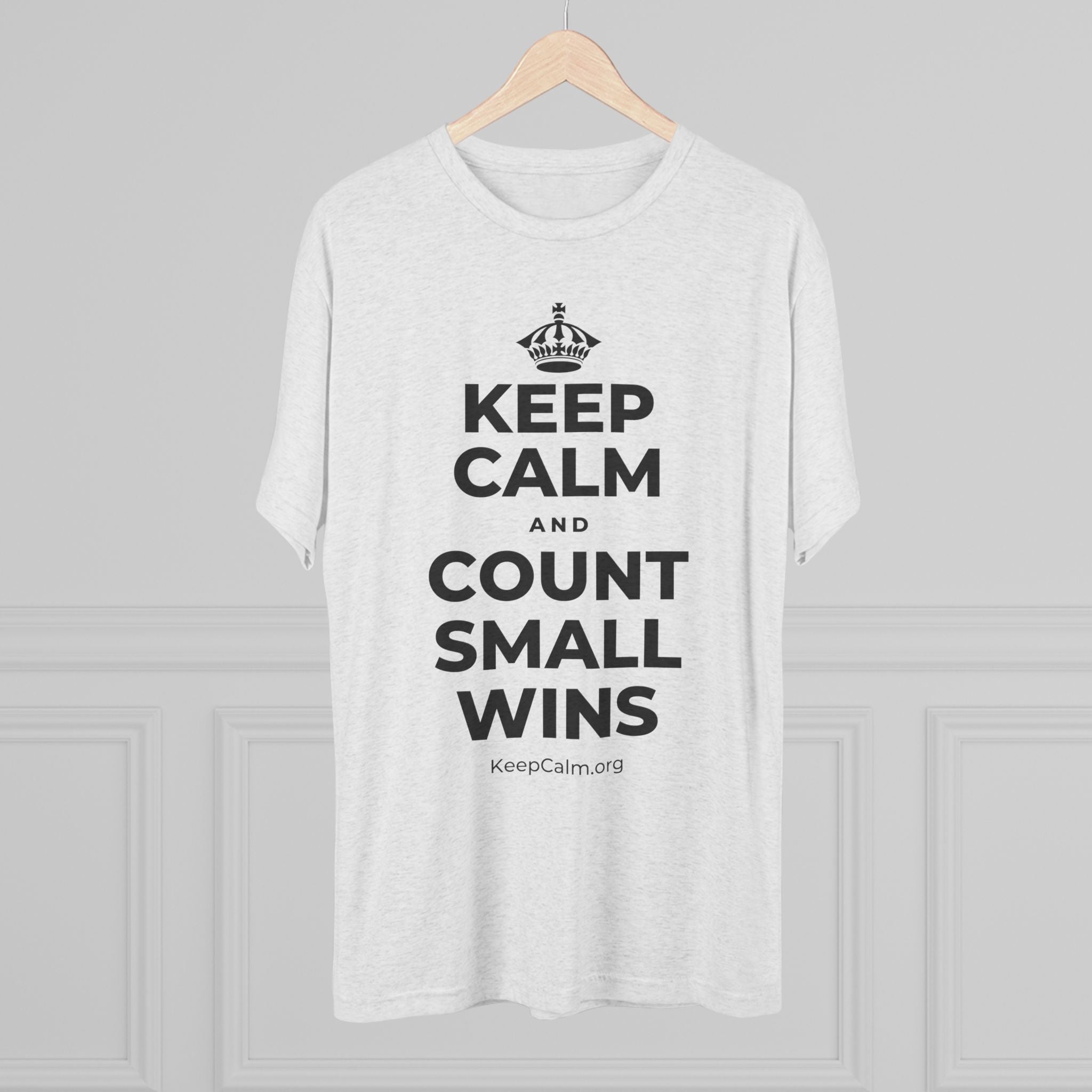 KEEP CALM AND COUNT SMALL WINS Tri-Blend Tee
